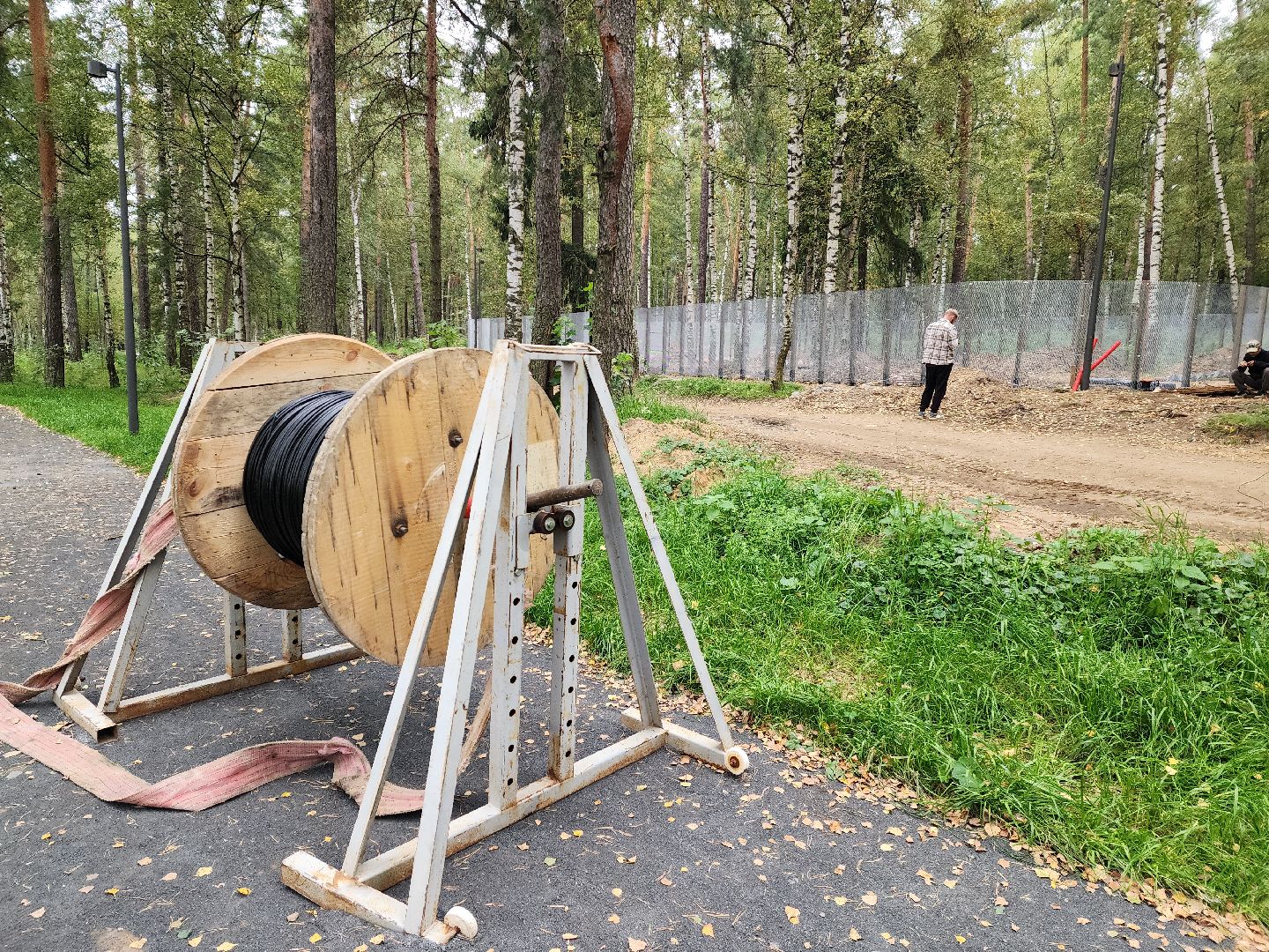 красноармейск, городской округ пушкинский, банный лес, лесопарк,