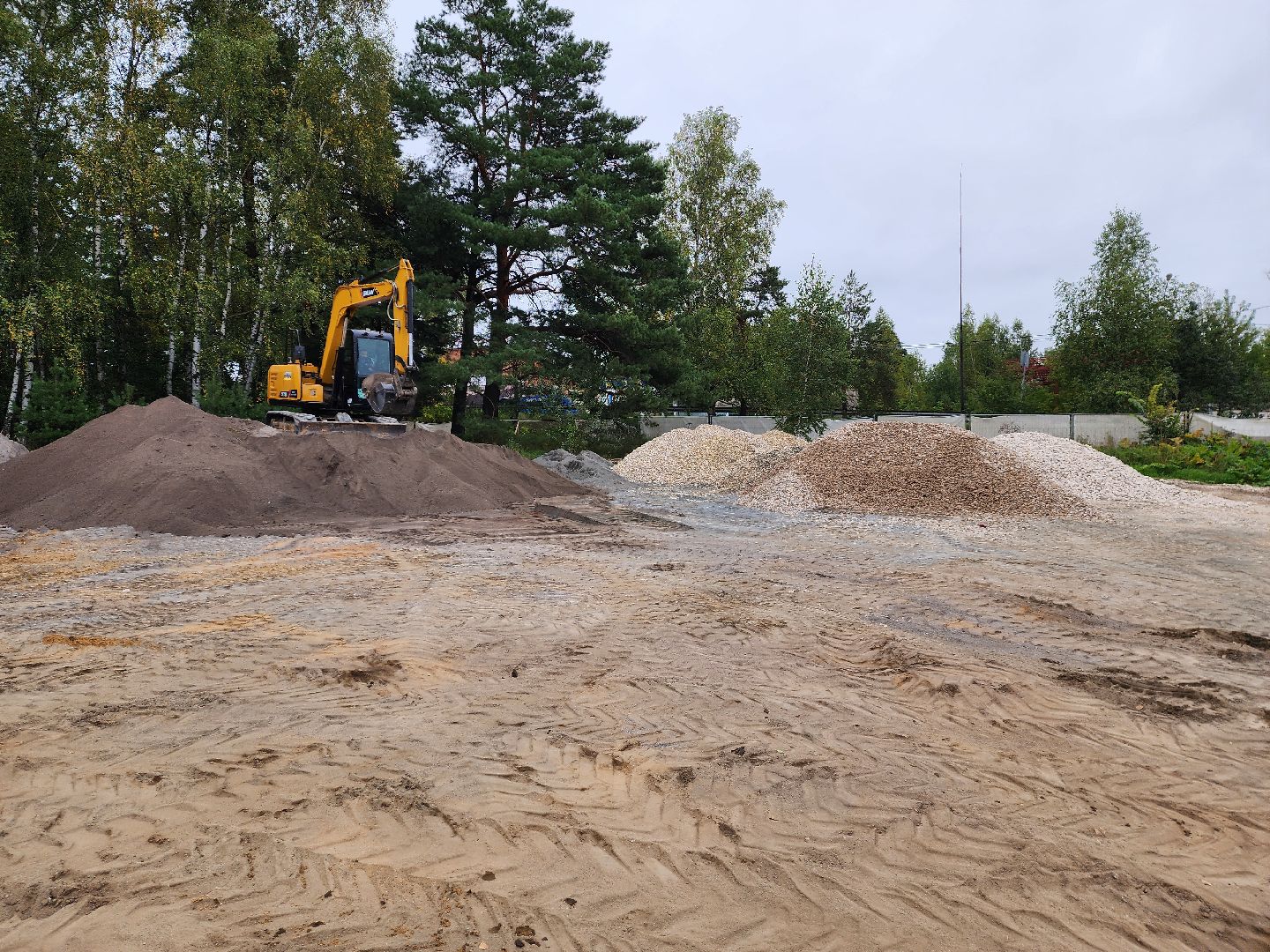 красноармейск, городской округ пушкинский, банный лес, лесопарк,