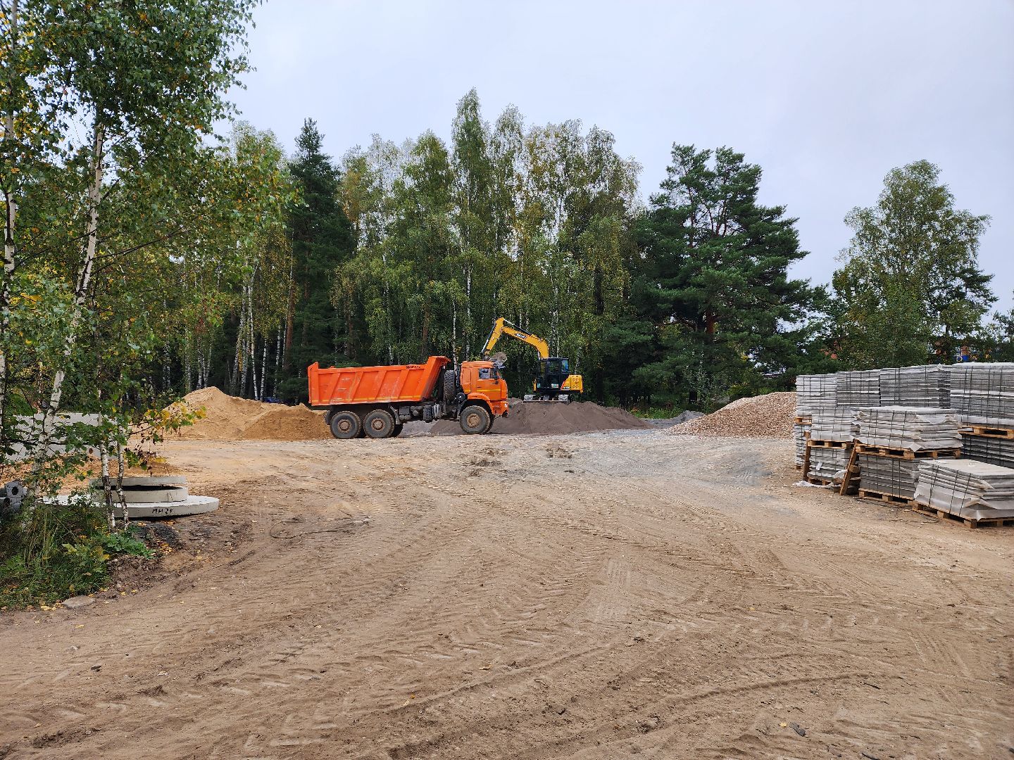 красноармейск, городской округ пушкинский, банный лес, лесопарк,