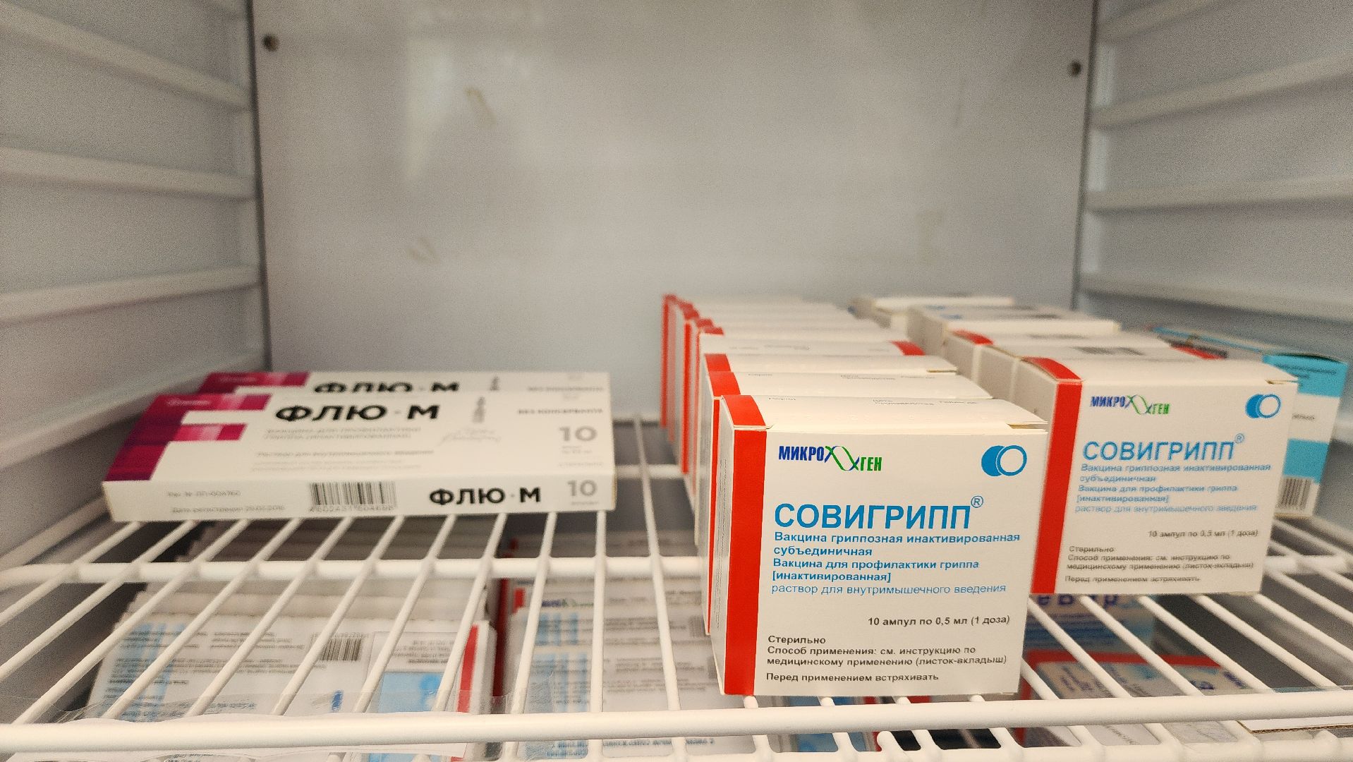 солнечногорск, вакцинация, медицина, эпидемиология, прививка от гриппа,