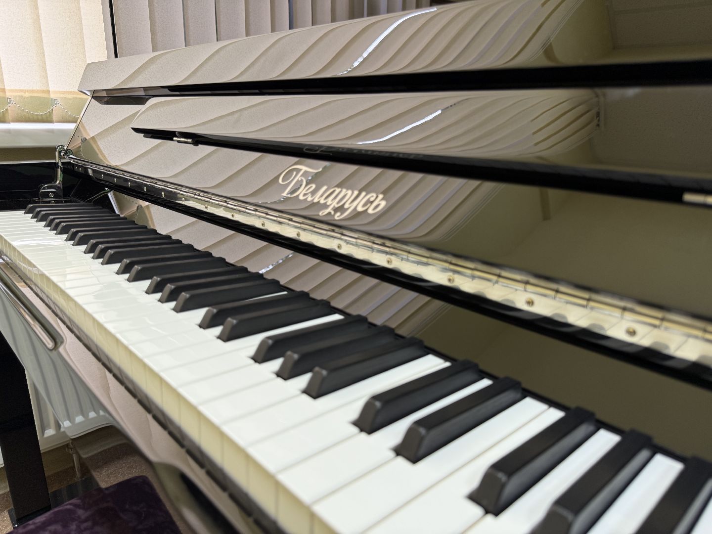 Люберцы, детская школа искусств, Музыканты, Музыкальные инструменты ,