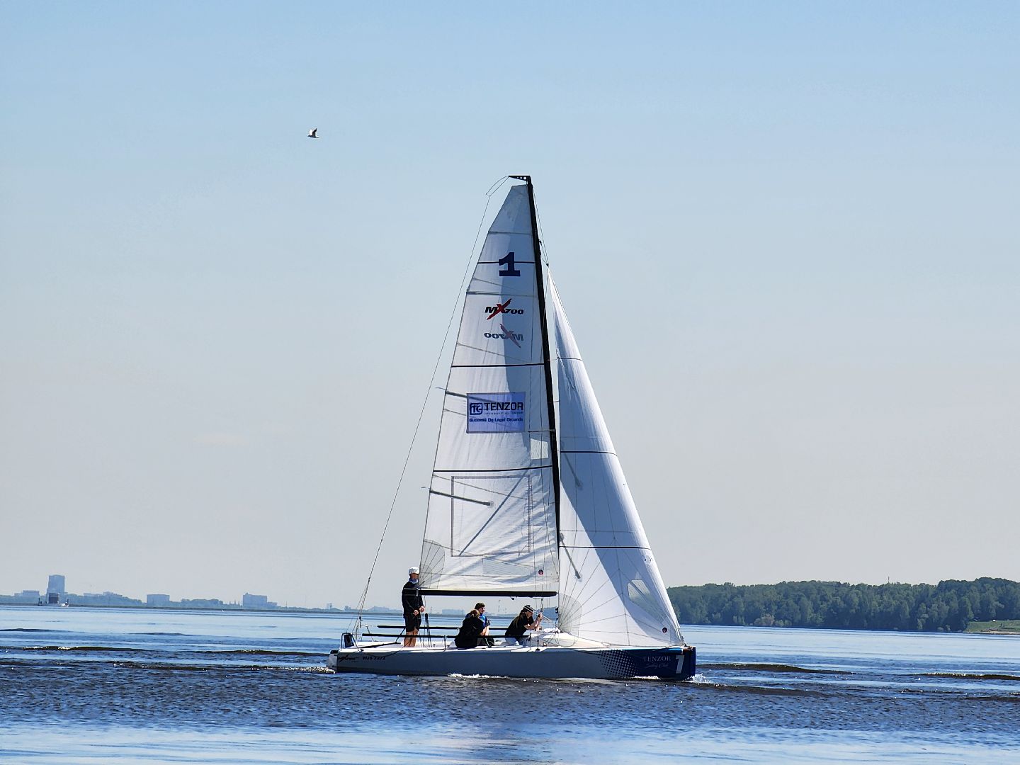 мытищи, регата,