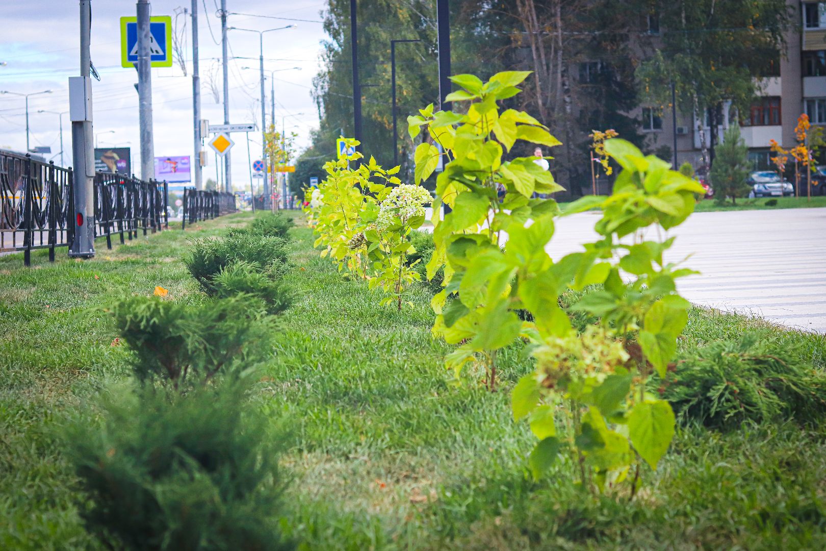 клин, общество, история, память, подмосковье, благоустройство, ВОВ,