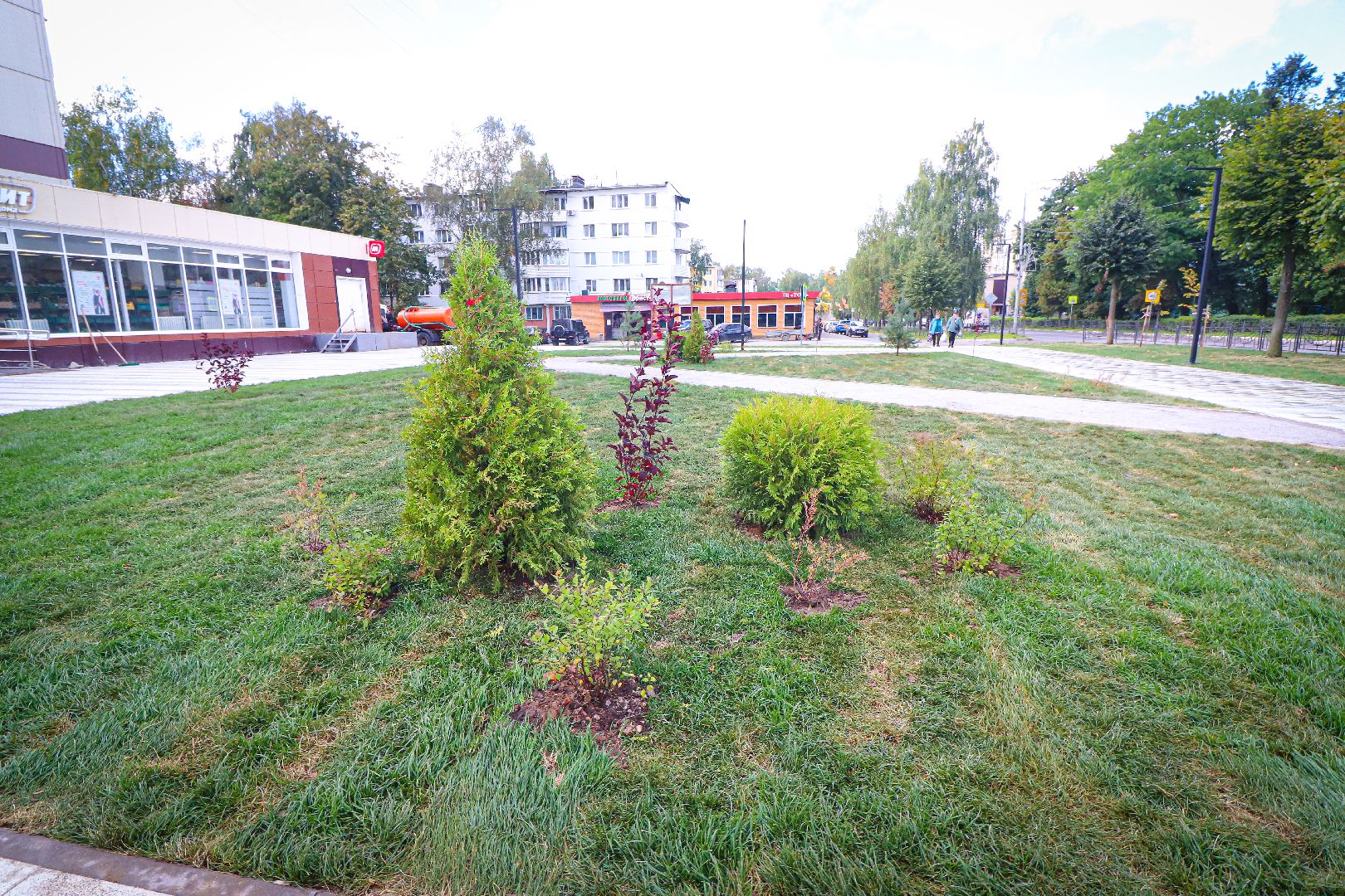 клин, общество, история, память, подмосковье, благоустройство, ВОВ,