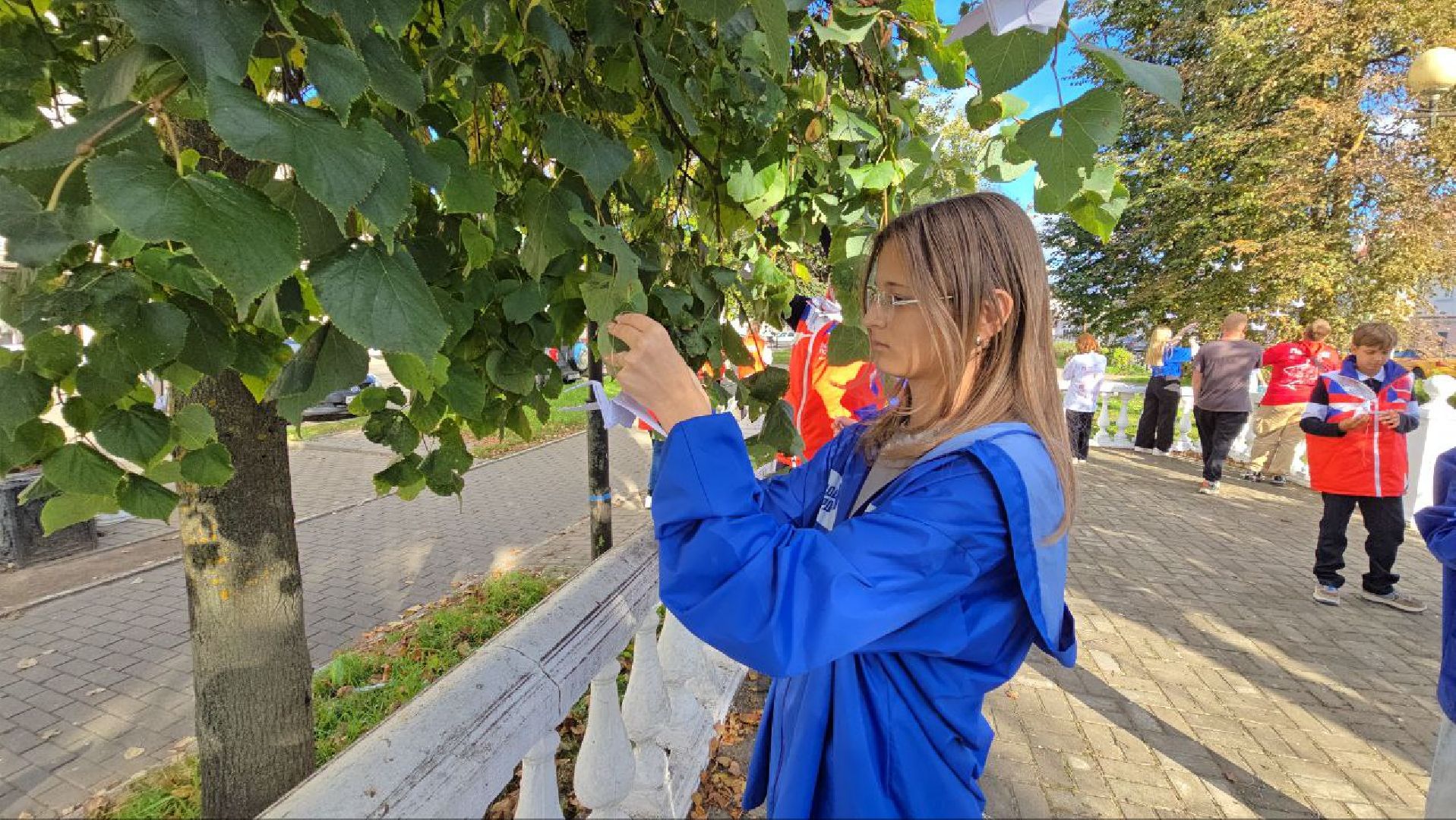 можайск, можайский муниципальный округ, подмосковье, дерево памяти, теракт, День солидарности в борьбе с терроризмом, борьба с терроризмом ,