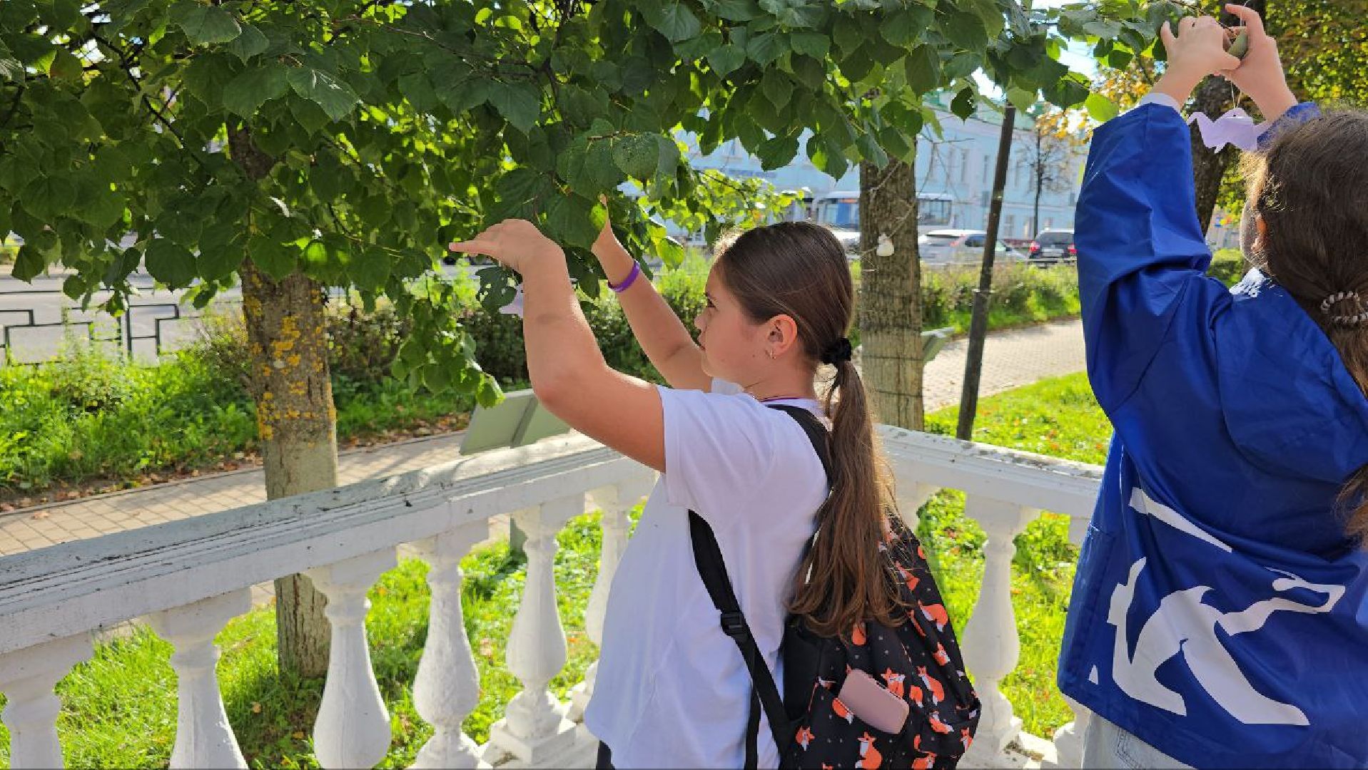 можайск, можайский муниципальный округ, подмосковье, дерево памяти, теракт, День солидарности в борьбе с терроризмом, борьба с терроризмом ,