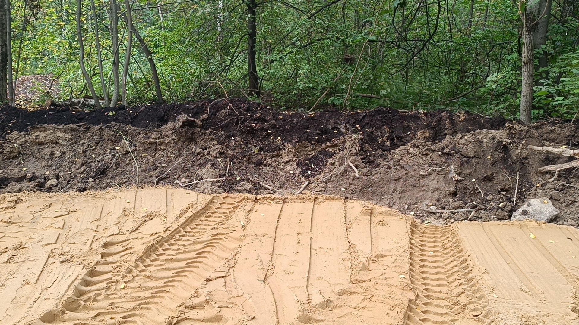 сквер, благоустройство, лобня,