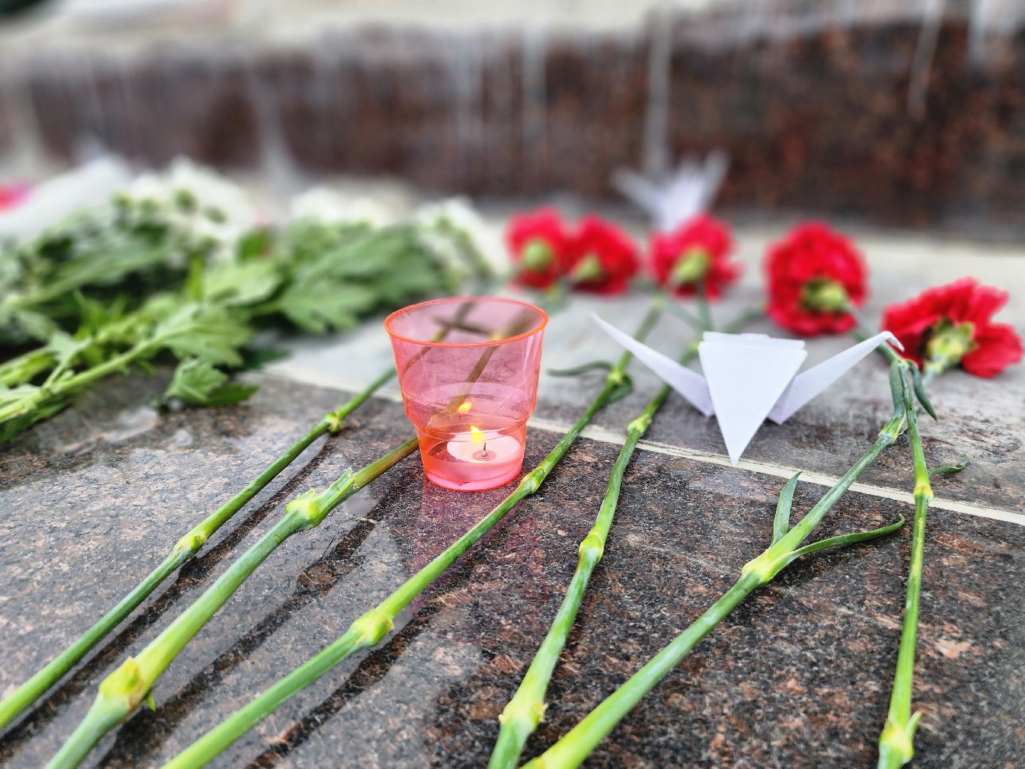 фрязино, день памяти трагедии в беслане, митинг, акция памяти жертв теракта, молодогвардейцы, молодежный центр,