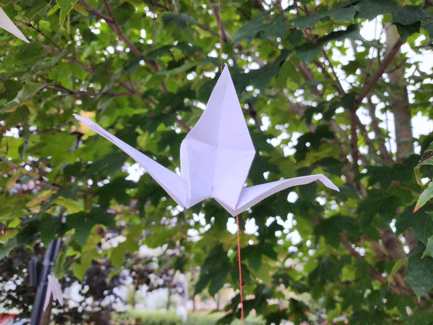 фрязино, день памяти трагедии в беслане, митинг, акция памяти жертв теракта, молодогвардейцы, молодежный центр,