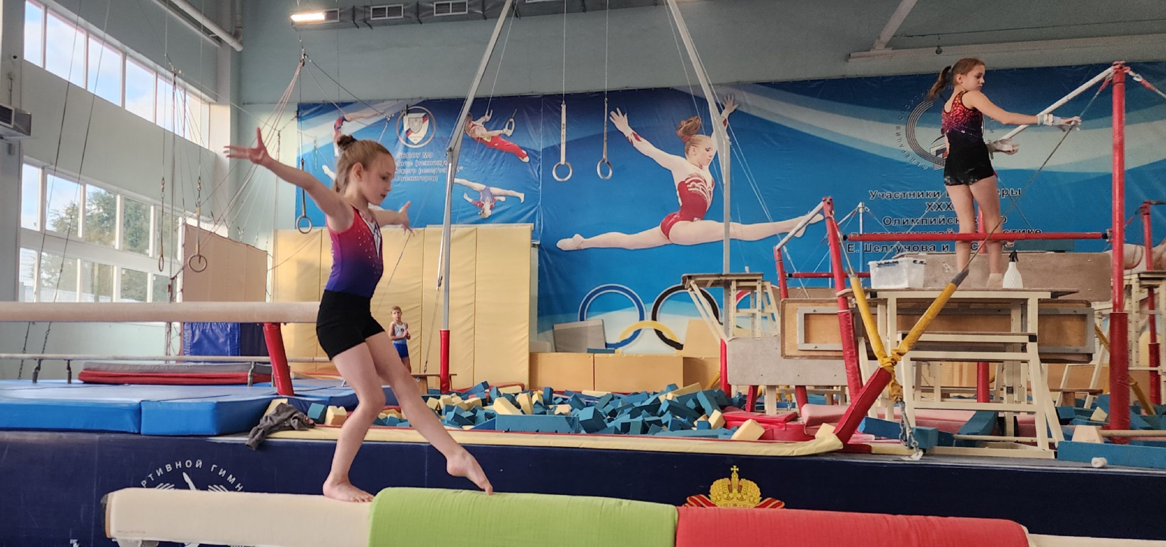 Спорт, Образование , Общество ,