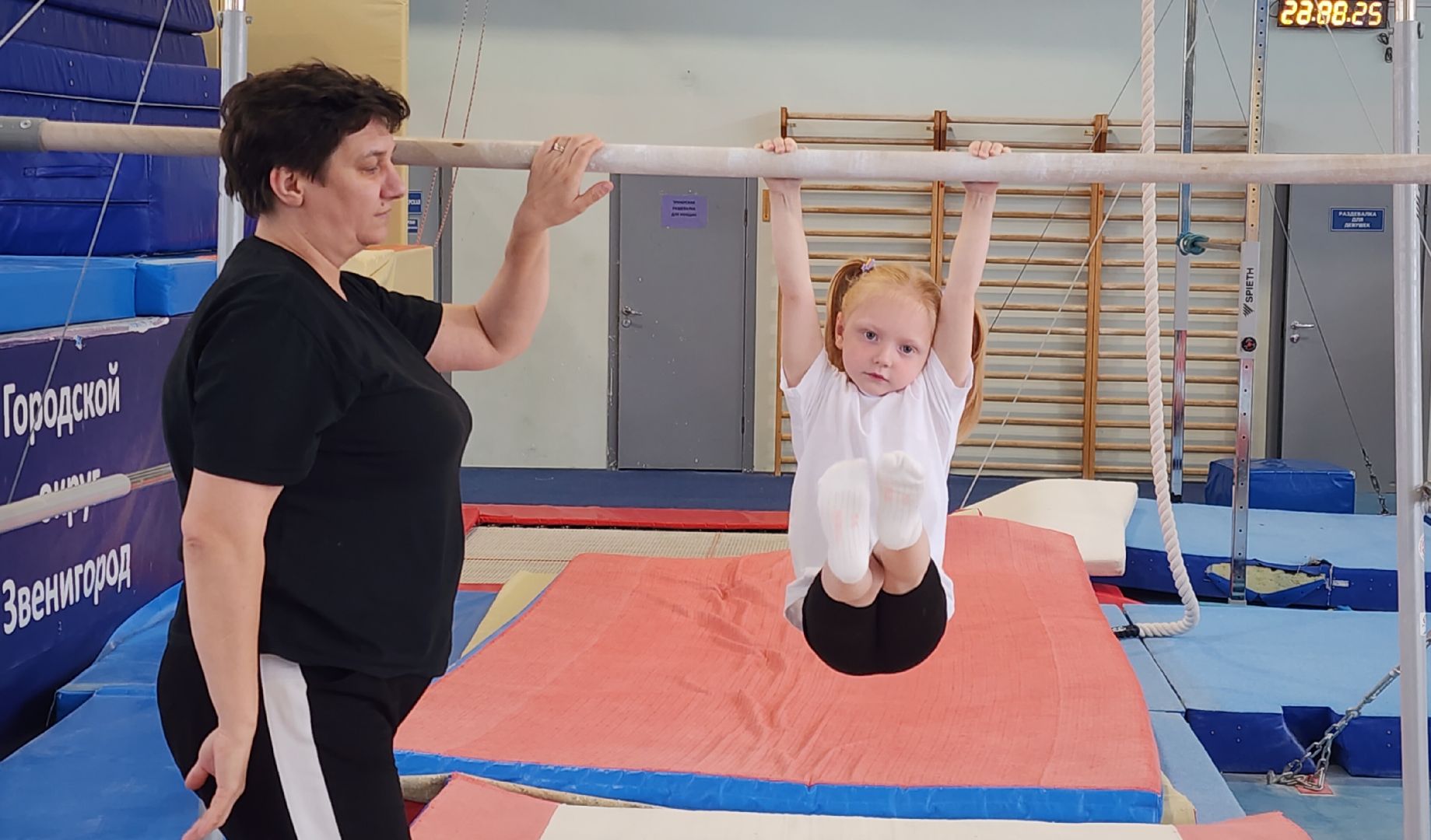 Спорт, Образование , Общество ,