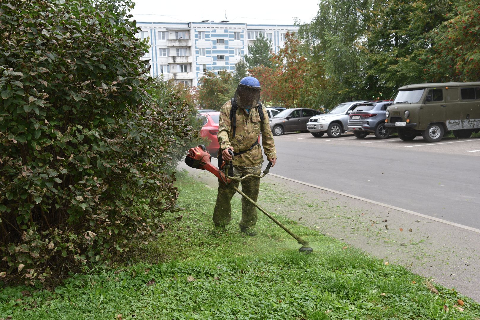 лотошино, благоустройство, добродел, обращения жителей, окос травы,