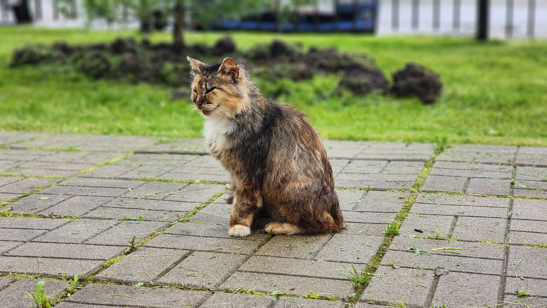 волоколамск, панфиловцы,