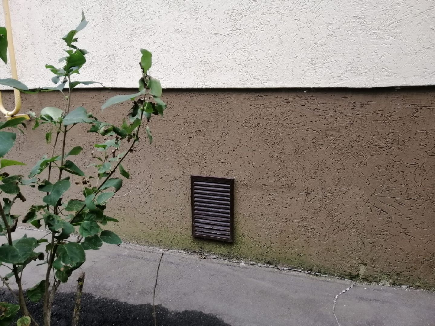 городской округ восход, жкх, благоустройство,подвал многоквартирного дома, коммунальная служба,