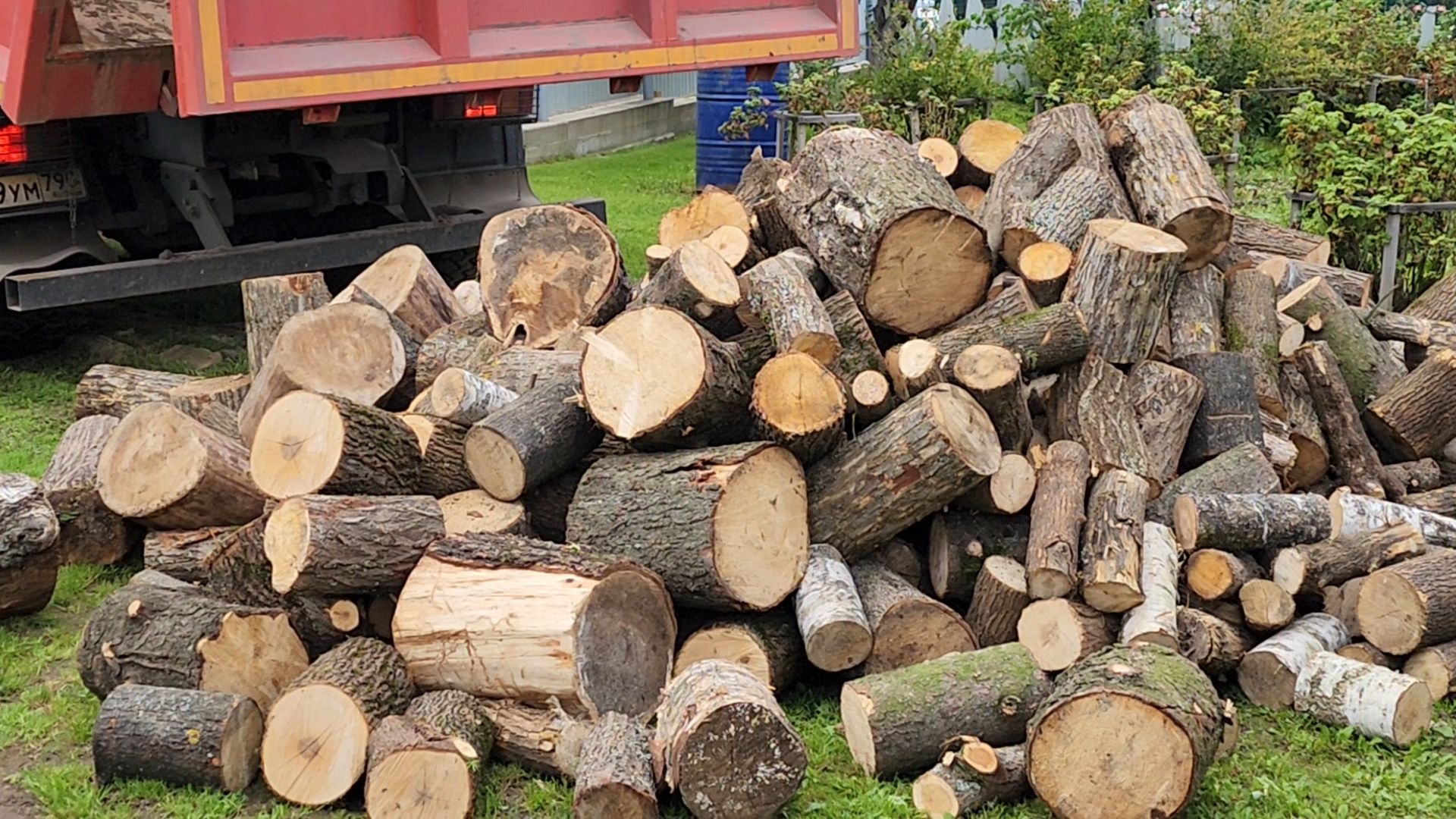 солнечногорск, ассоциация ветеранов сво, помощь семьям участников сво,