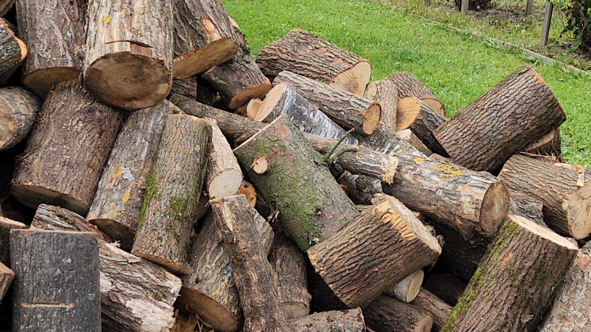 солнечногорск, ассоциация ветеранов сво, помощь семьям участников сво,