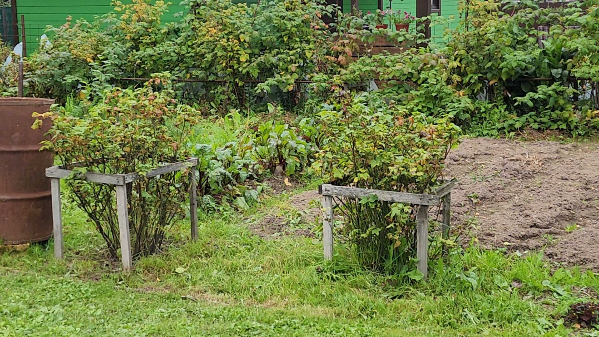 солнечногорск, ассоциация ветеранов сво, помощь семьям участников сво,