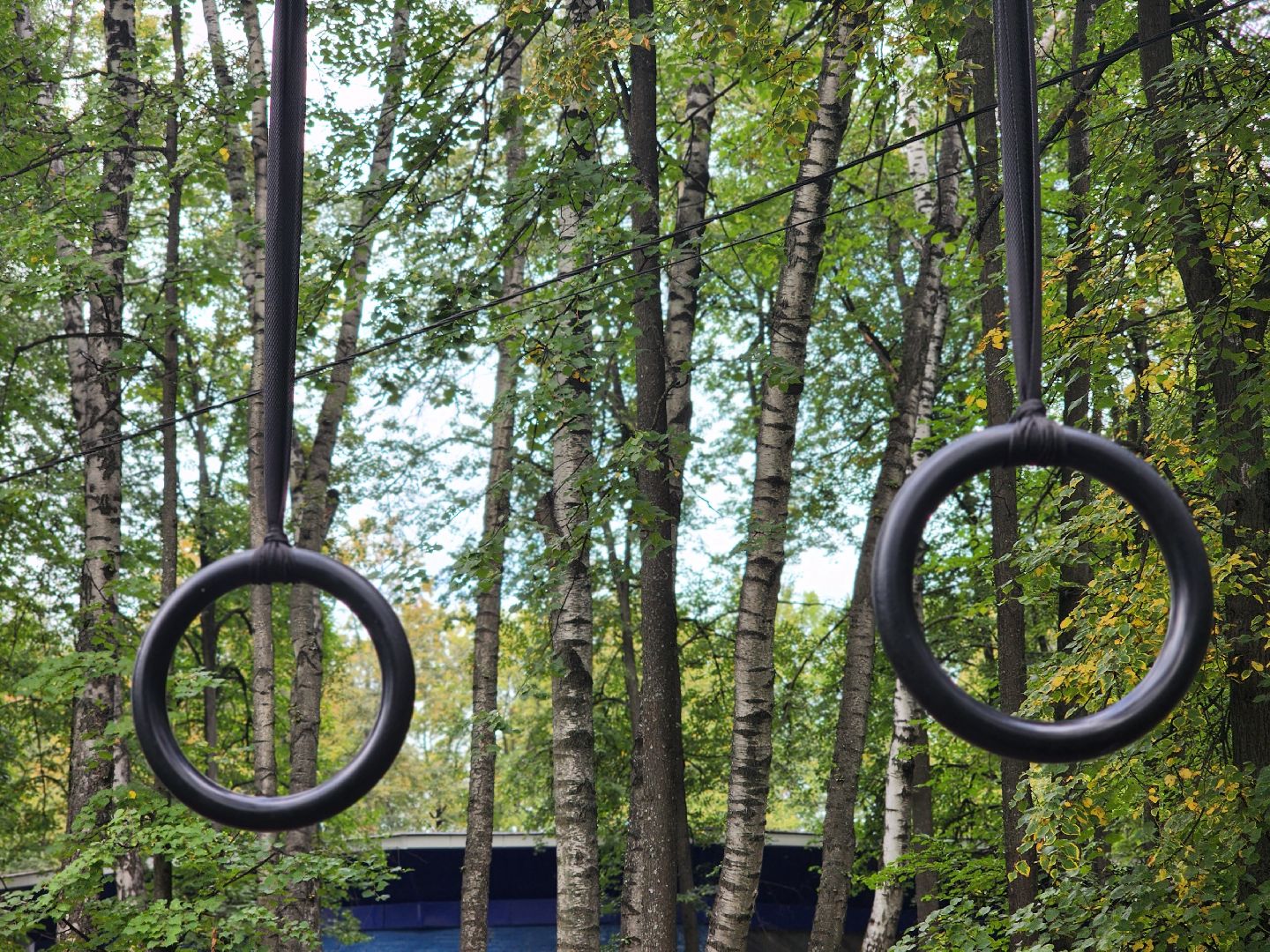 королёв, центральный городской парк в королеве, благоустройство,