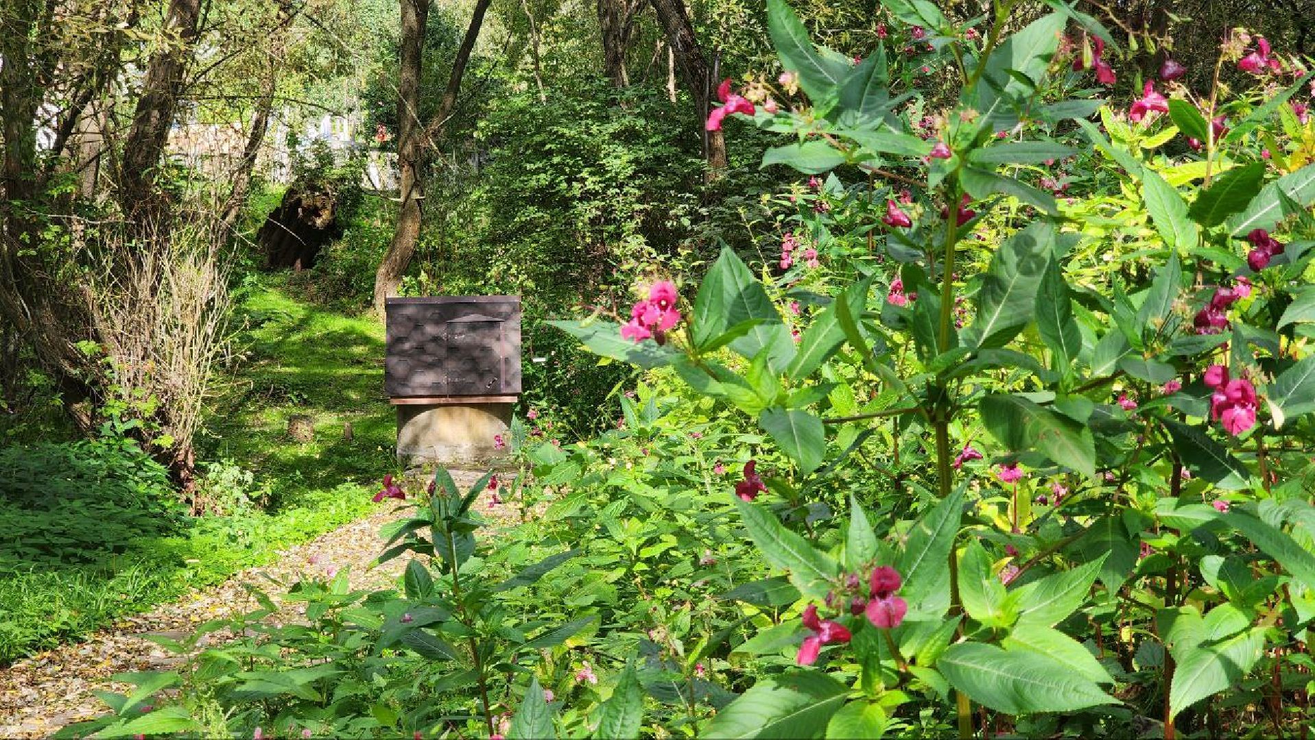 серебряные пруды, клемово, благоустройство, ремонт колодца,