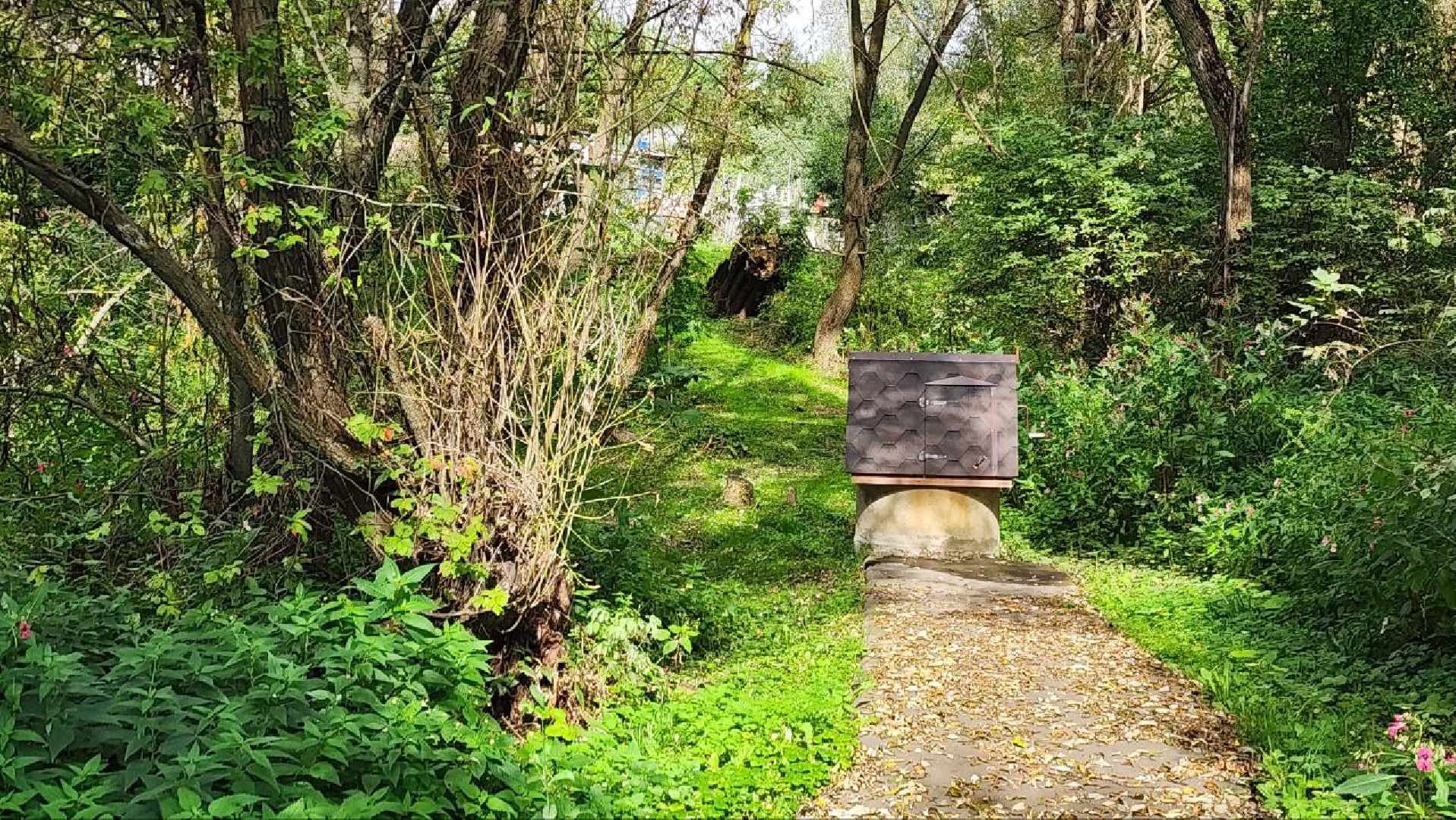 серебряные пруды, клемово, благоустройство, ремонт колодца,