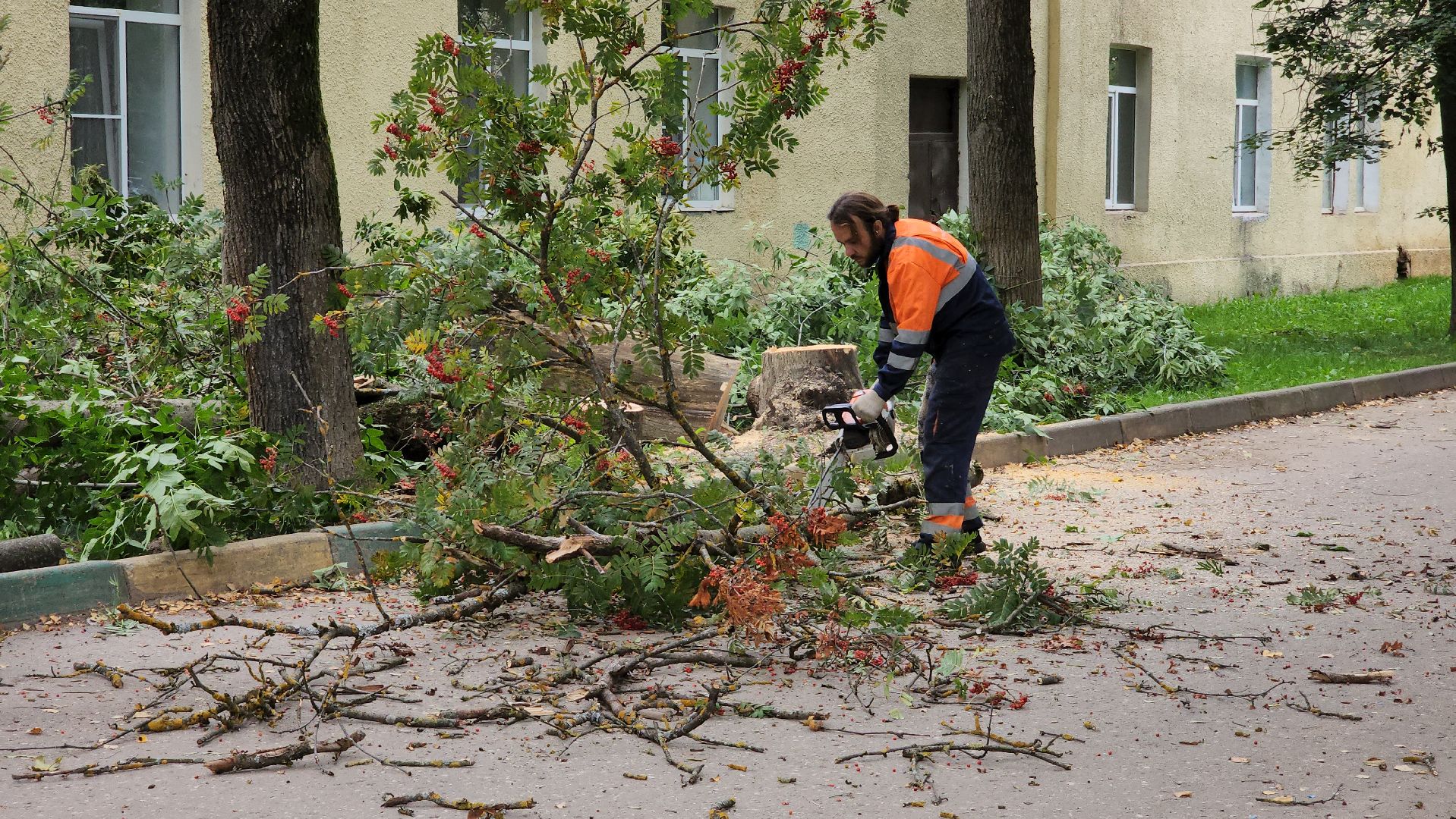 Руза, Тучково , благоустройство, аварийные деревья,
