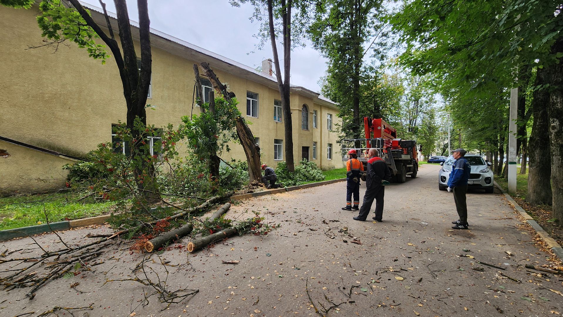 Руза, Тучково , благоустройство, аварийные деревья,