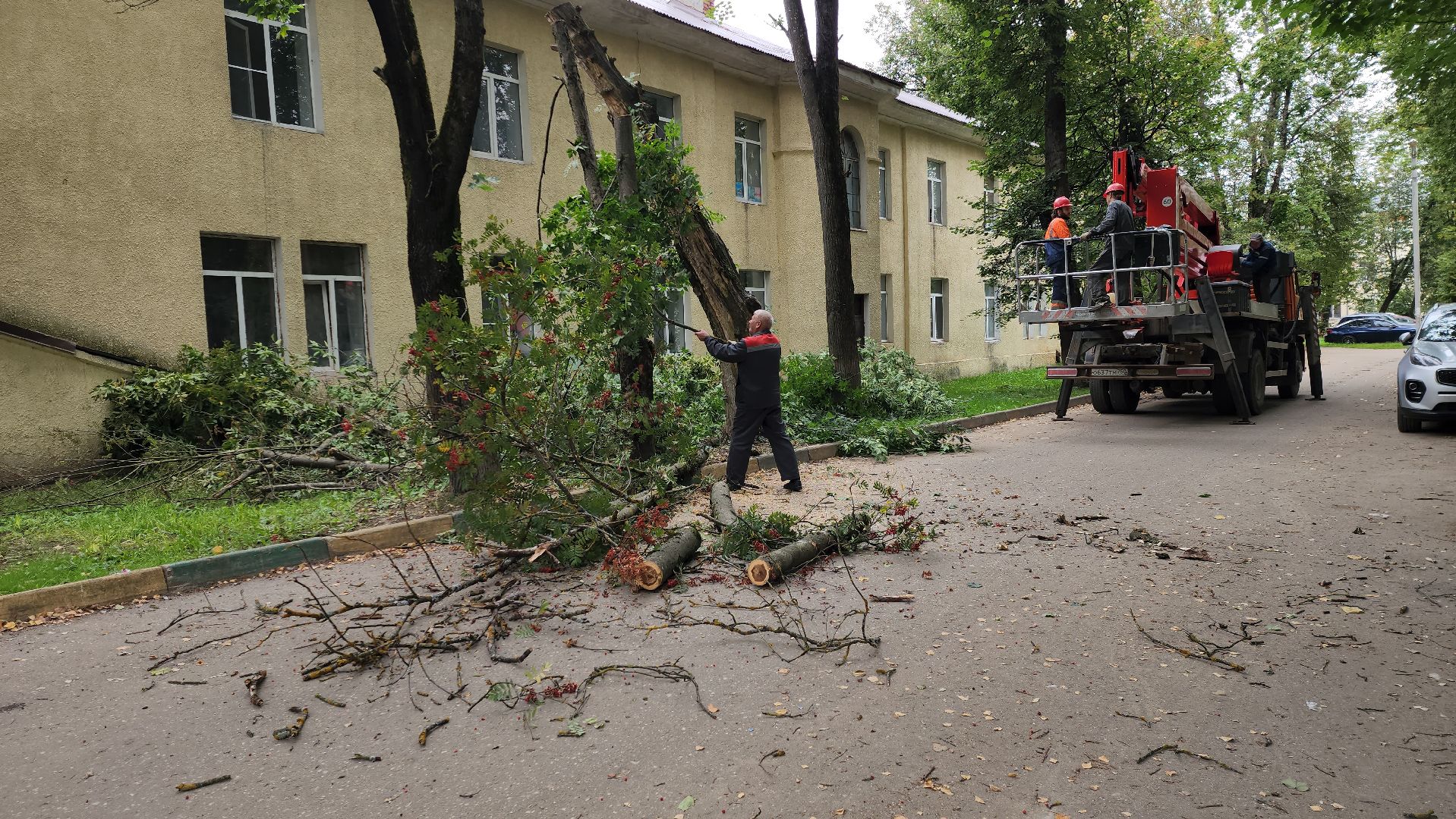 Руза, Тучково , благоустройство, аварийные деревья,