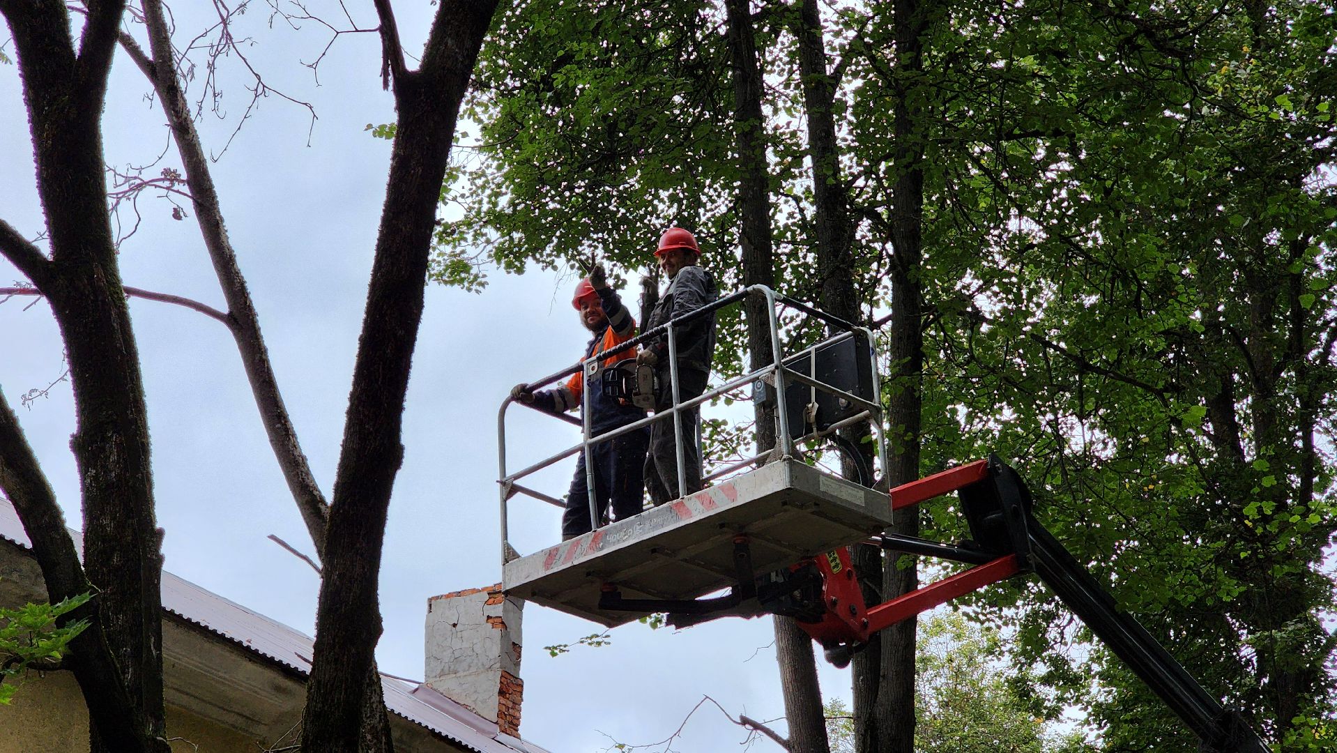 Руза, Тучково , благоустройство, аварийные деревья,