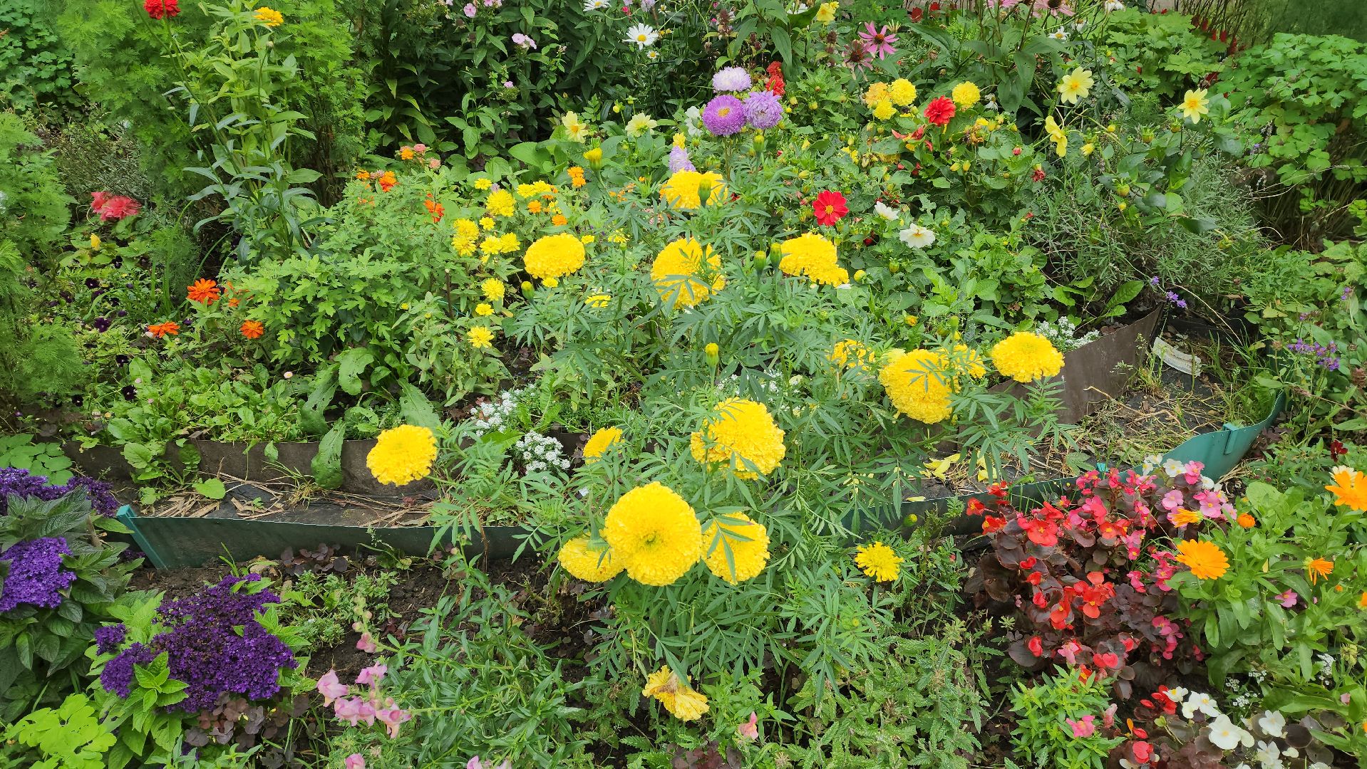 жкх, управляющая компания,