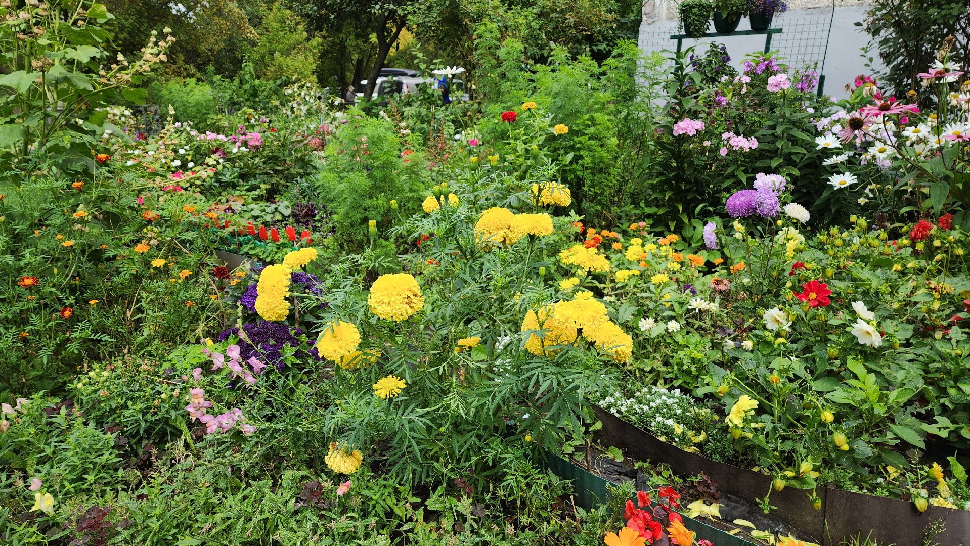 жкх, управляющая компания,