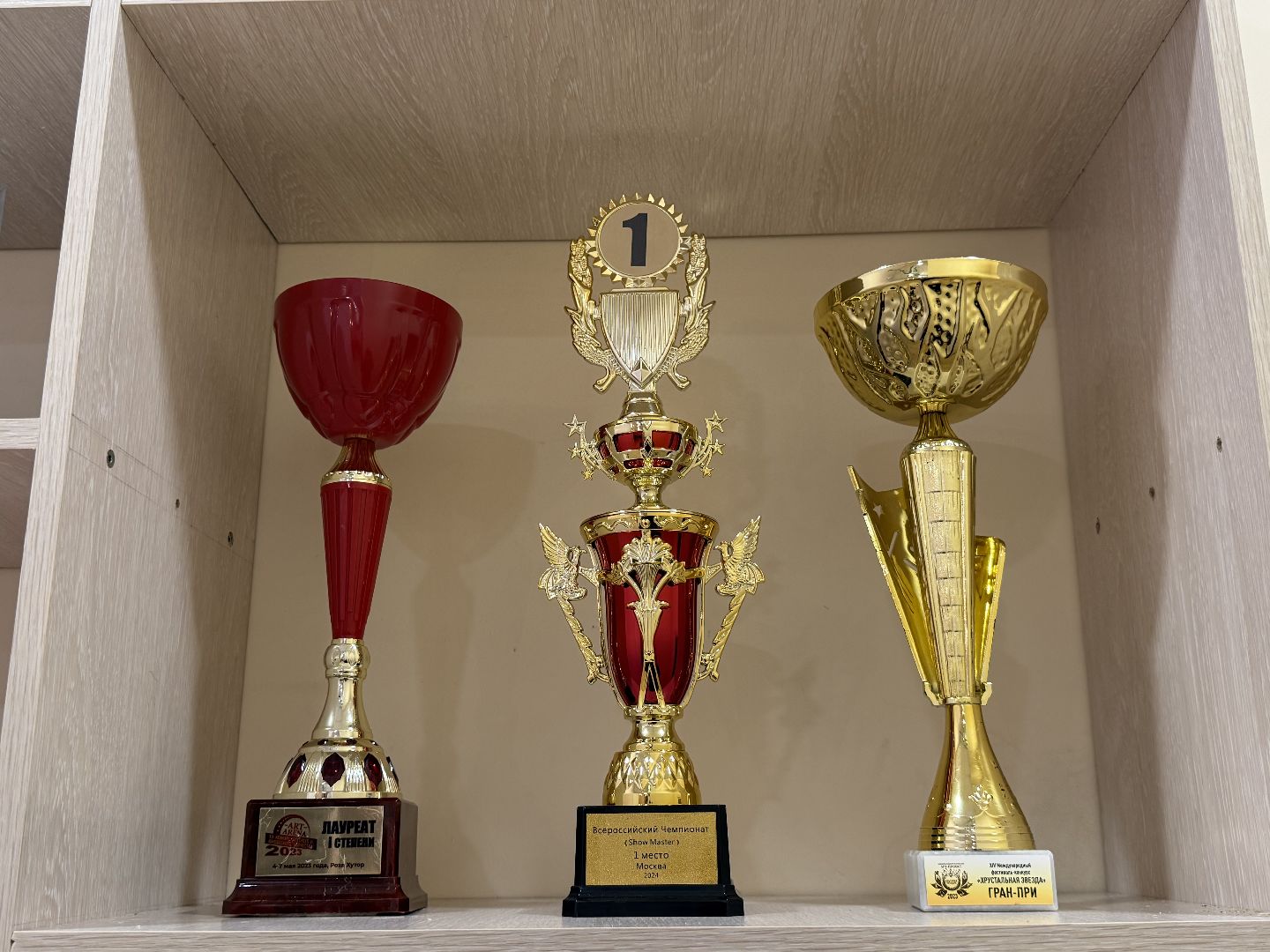 Люберцы , Театр танца, Отражение, Конкурс, город танцует в парках,