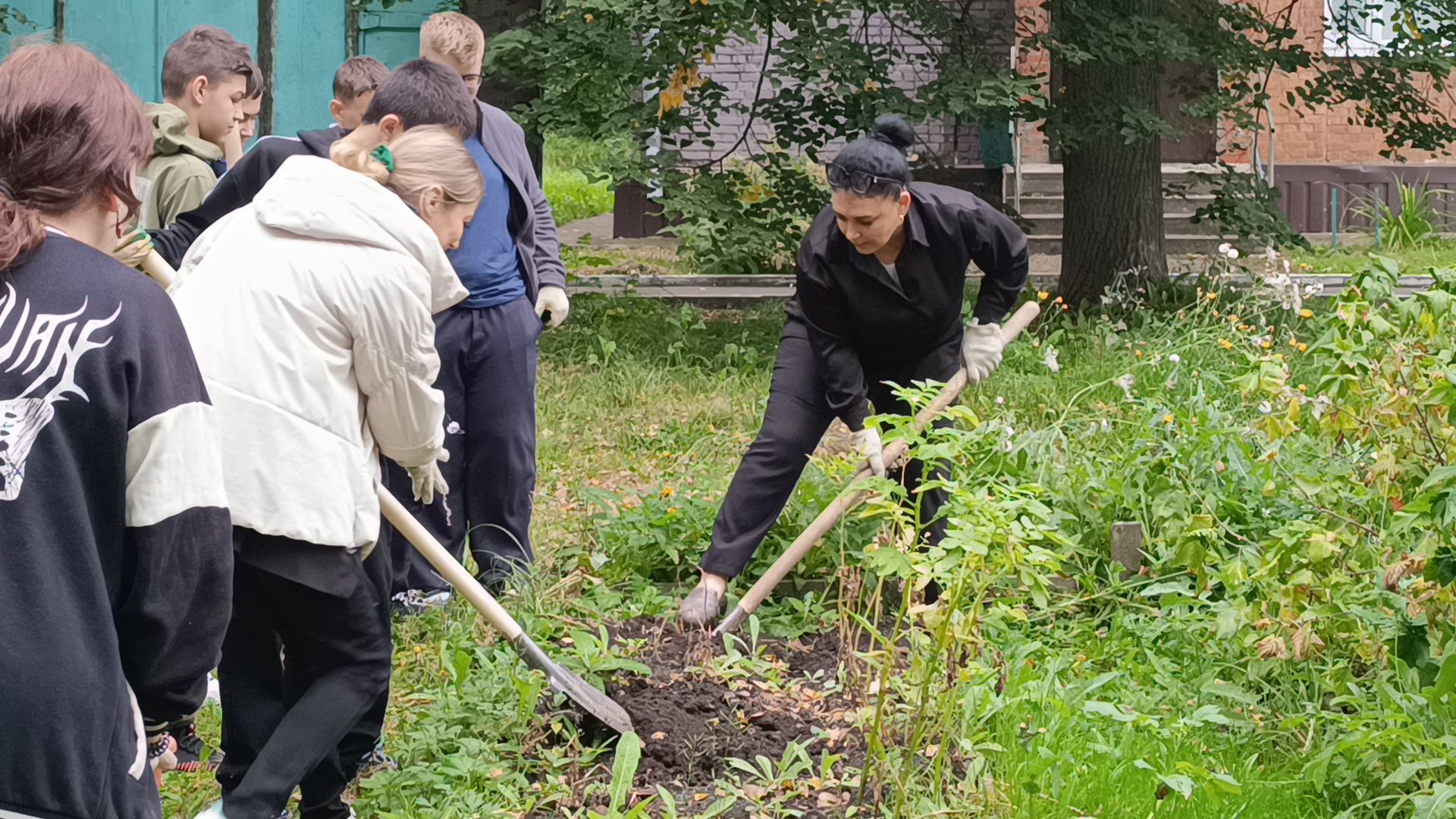 лобня, школа, урожай, овз,