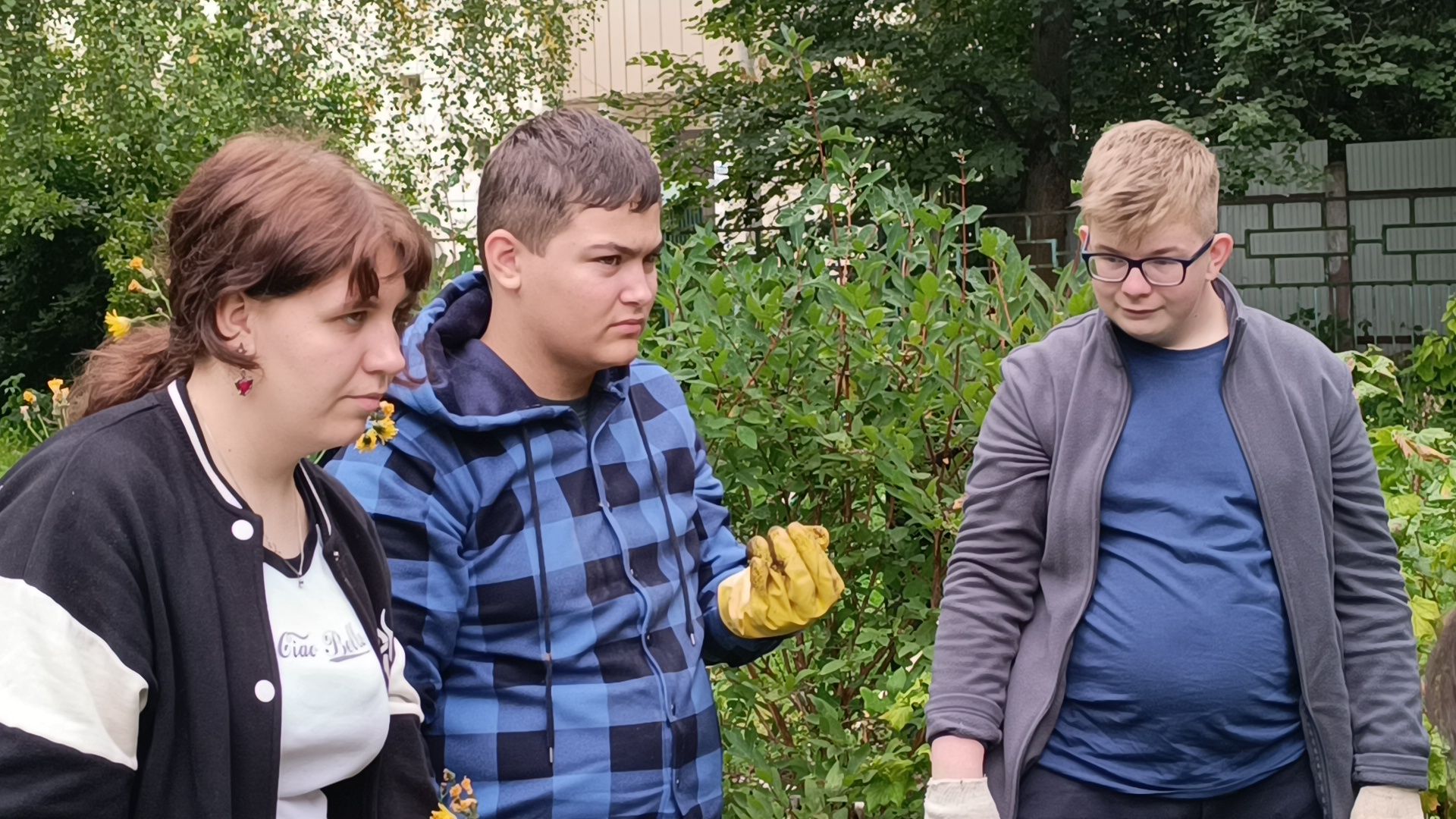 лобня, школа, урожай, овз,