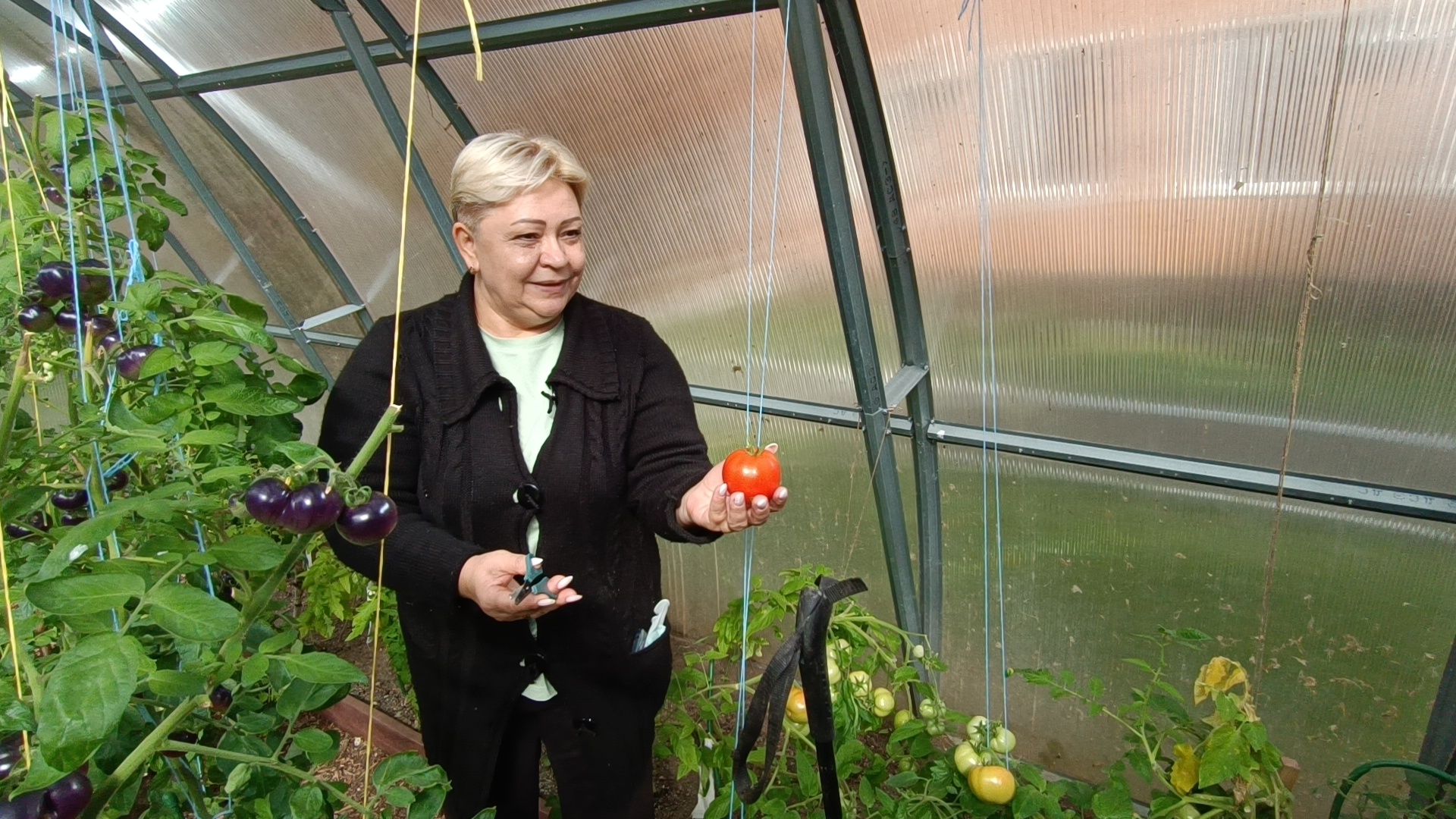 лобня, школа, урожай, овз,