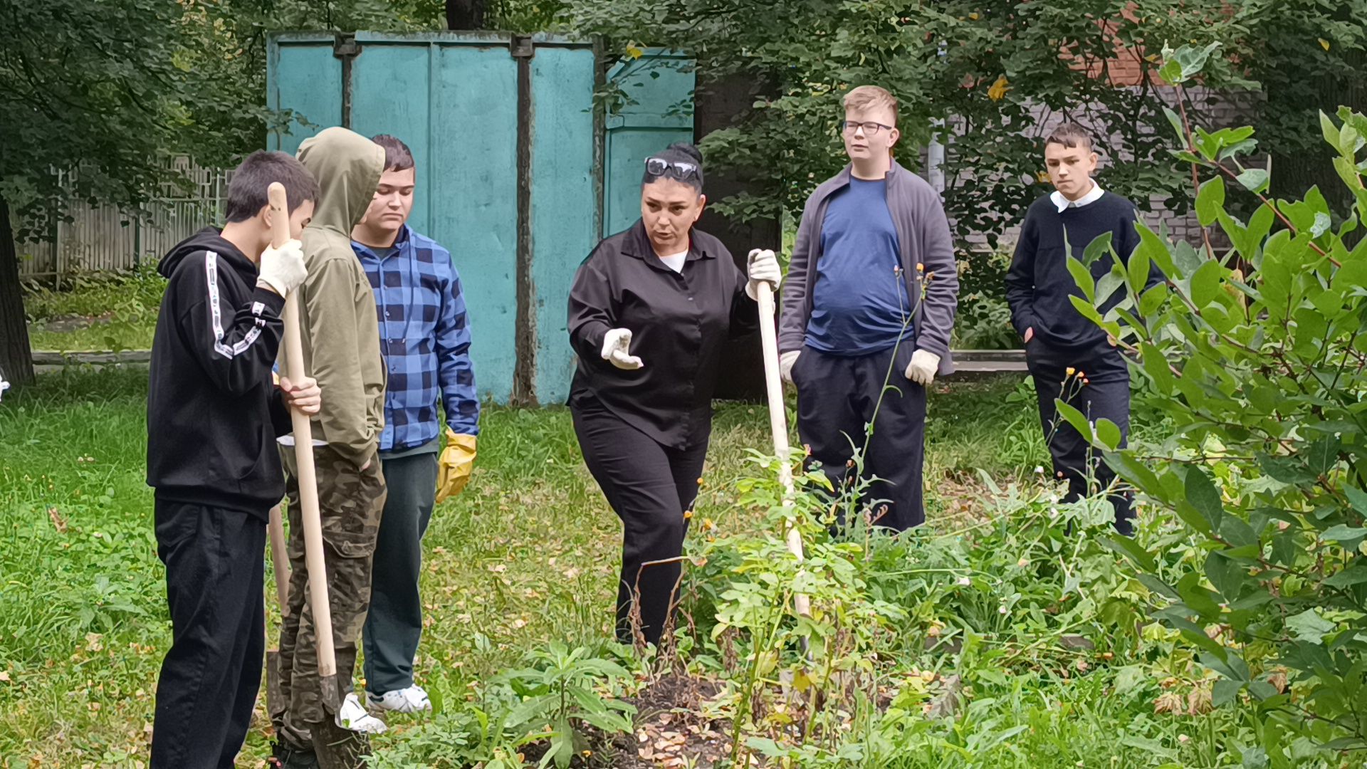 лобня, школа, урожай, овз,