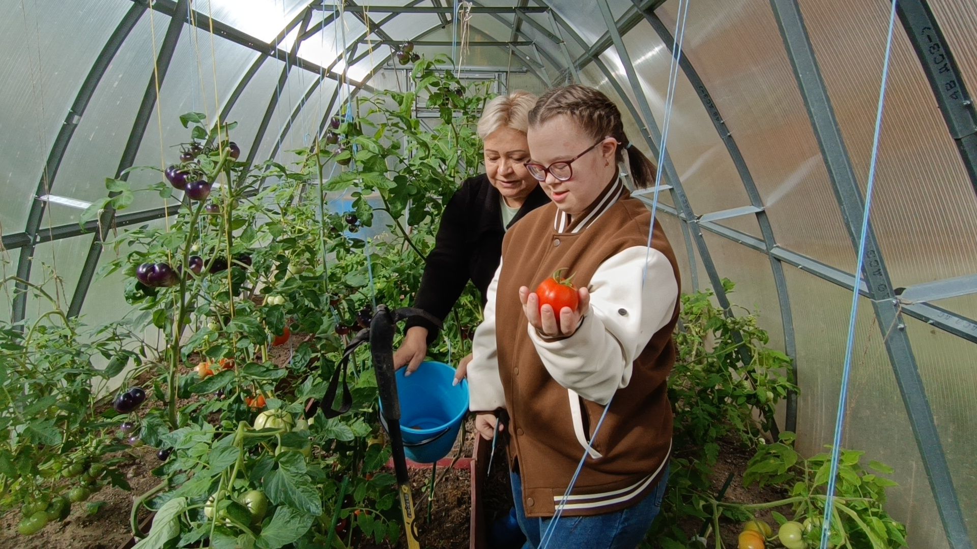 лобня, школа, урожай, овз,