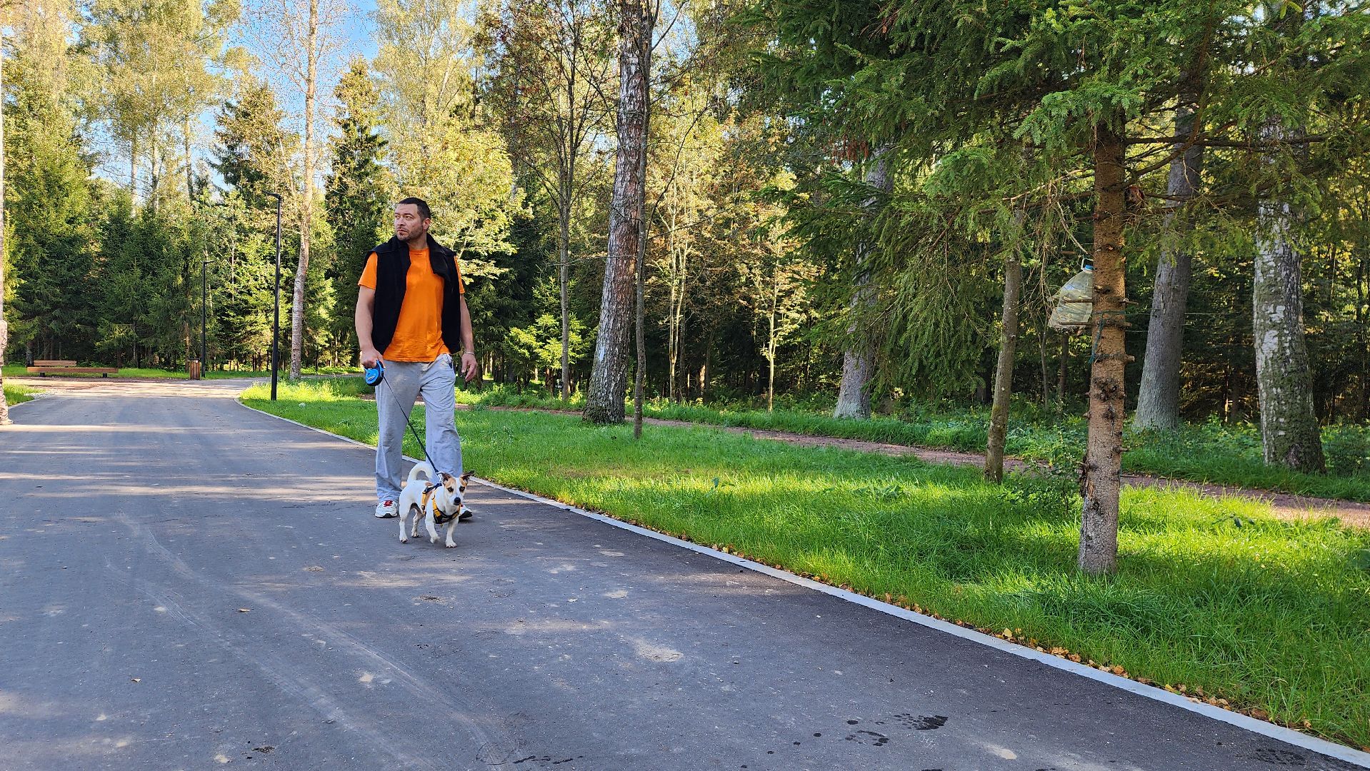 истра, благоустройство, лесопарк,