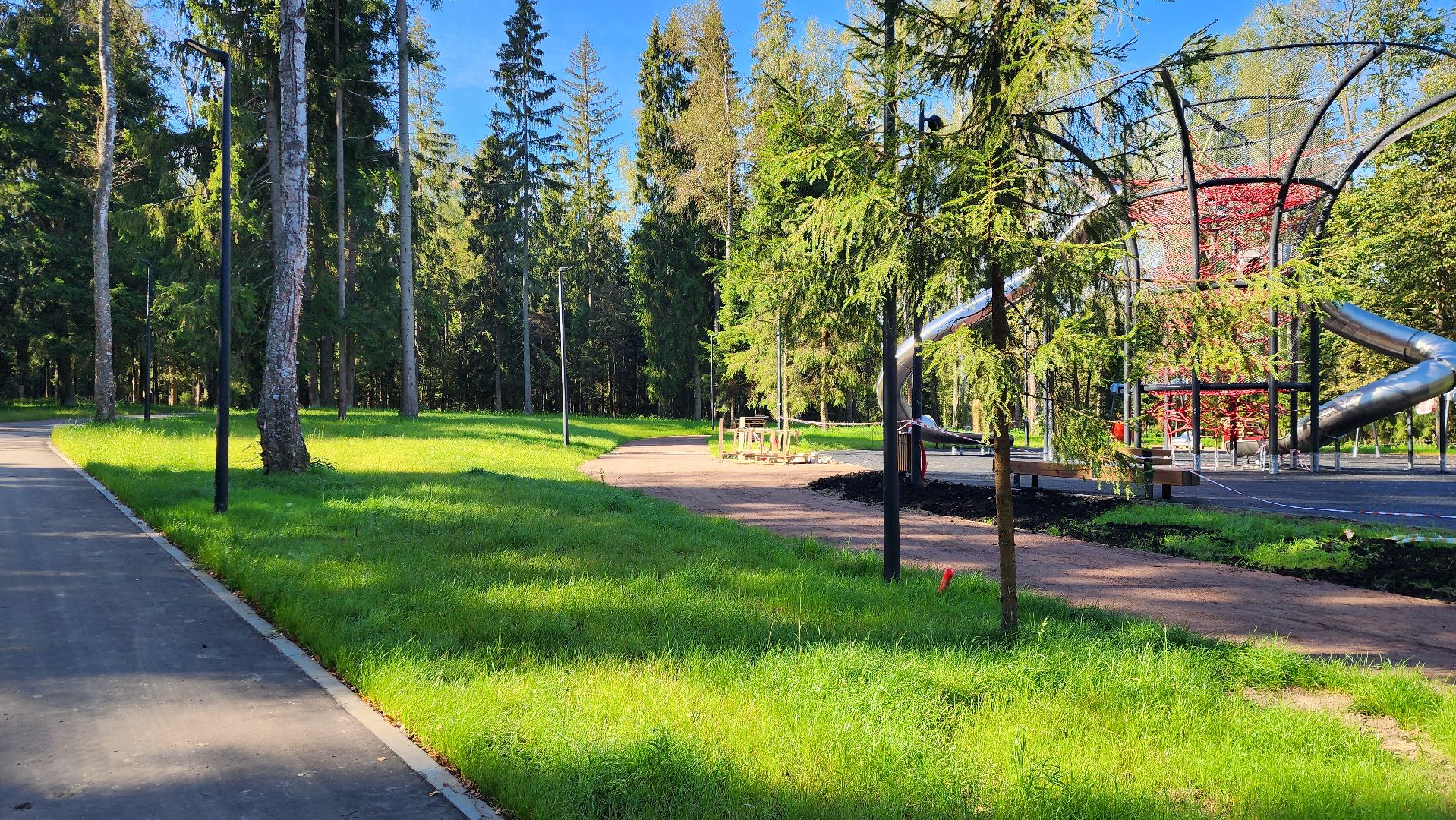 истра, благоустройство, лесопарк,