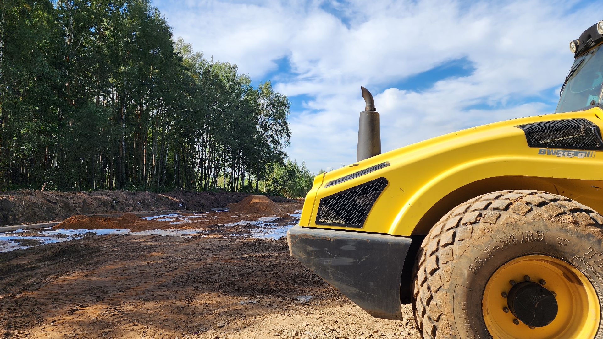 истра, благоустройство, лесопарк,