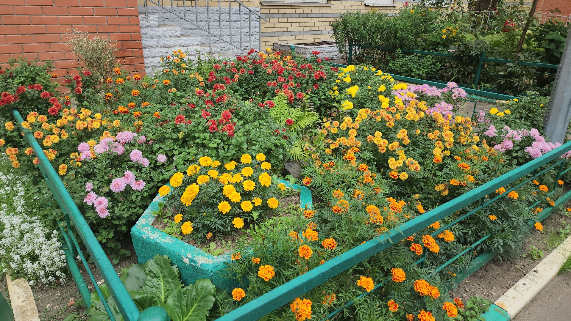 Люберцы, управляющая компания, жители,