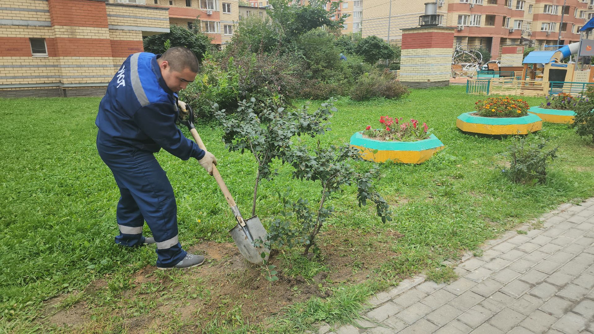 Люберцы, управляющая компания, жители,
