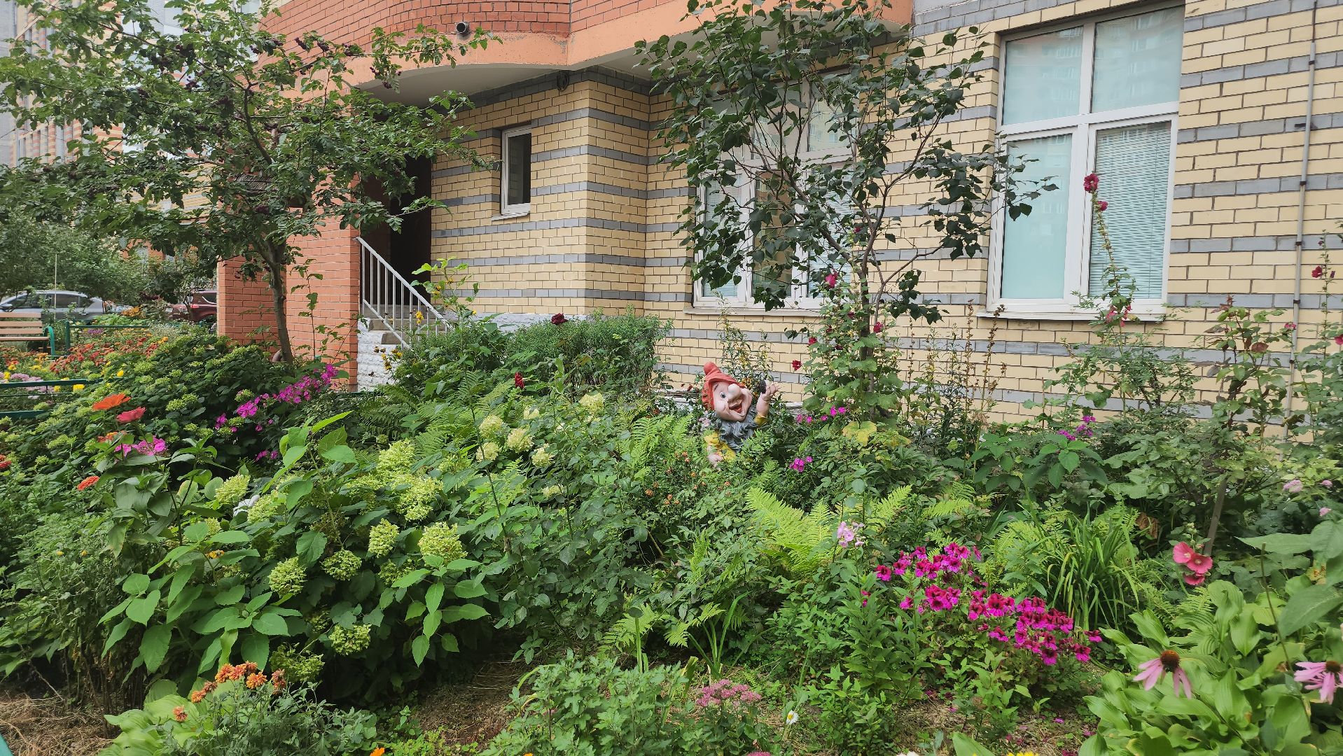 Люберцы, управляющая компания, жители,