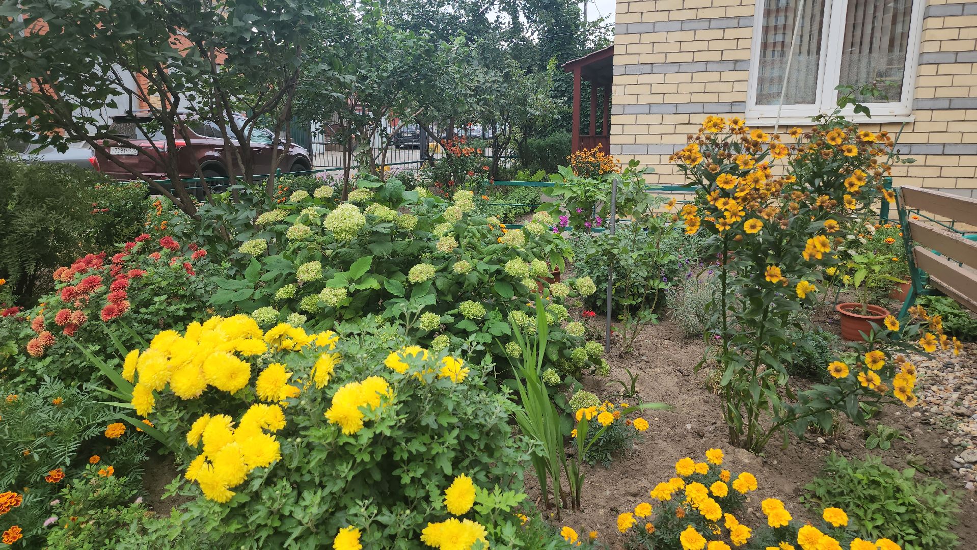 Люберцы, управляющая компания, жители,