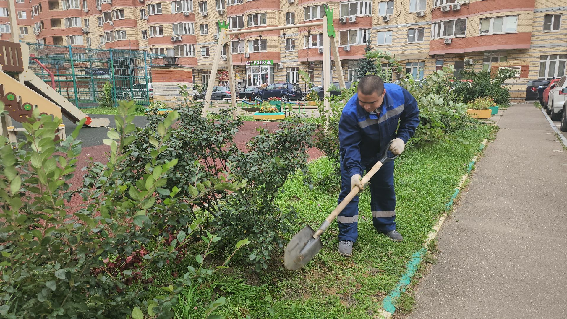 Люберцы, управляющая компания, жители,