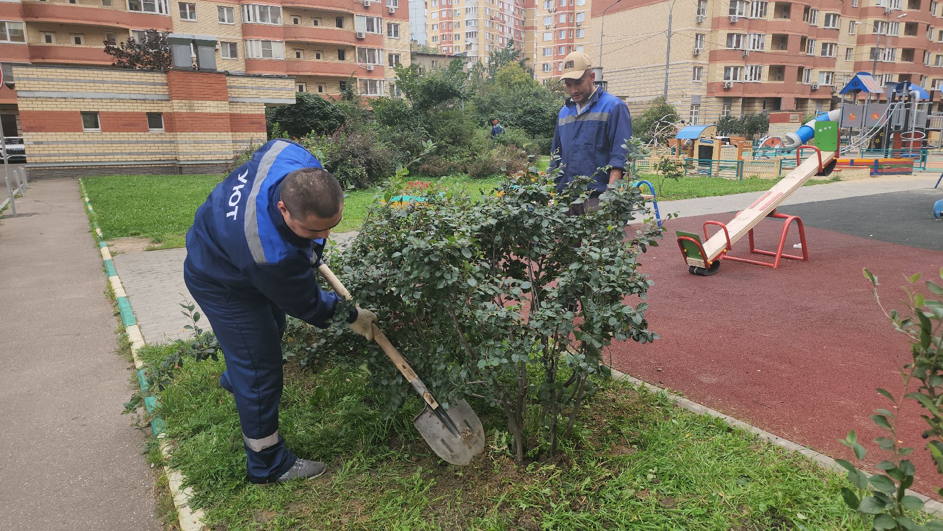 Люберцы, управляющая компания, жители,
