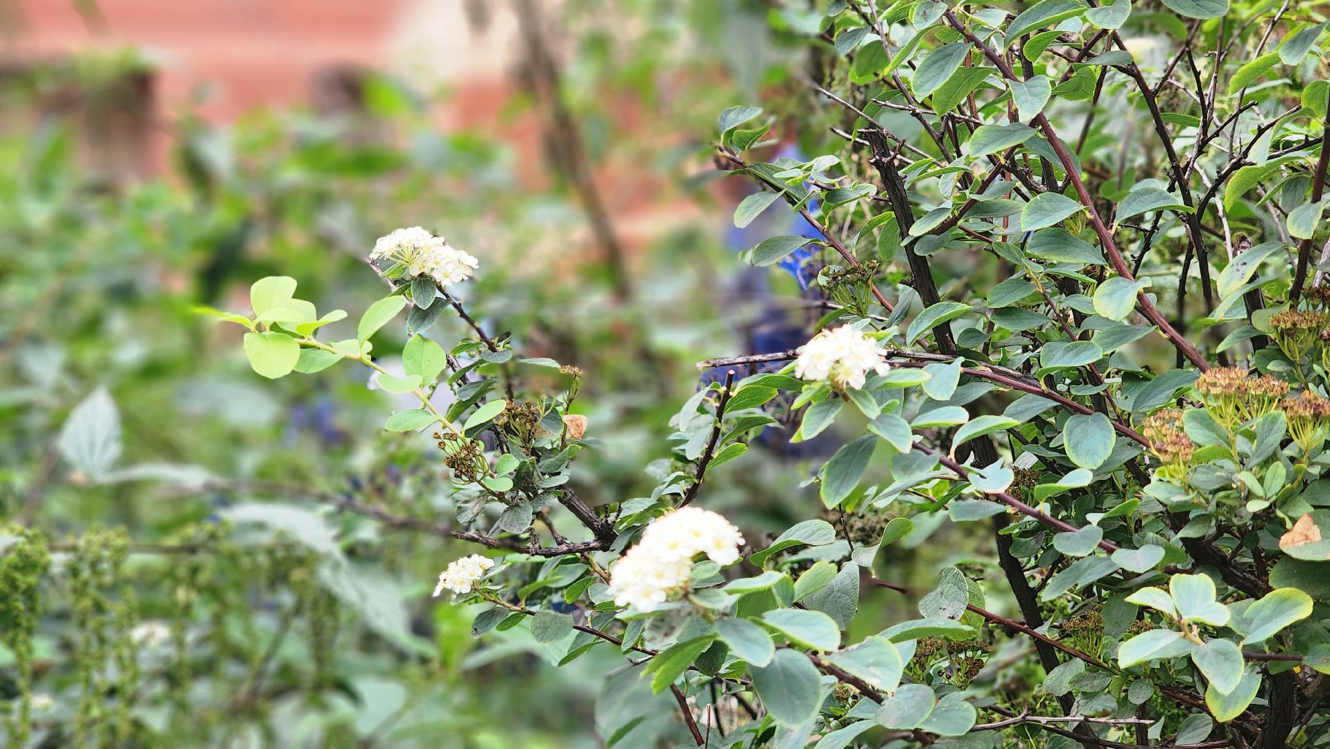 Люберцы, управляющая компания, жители,