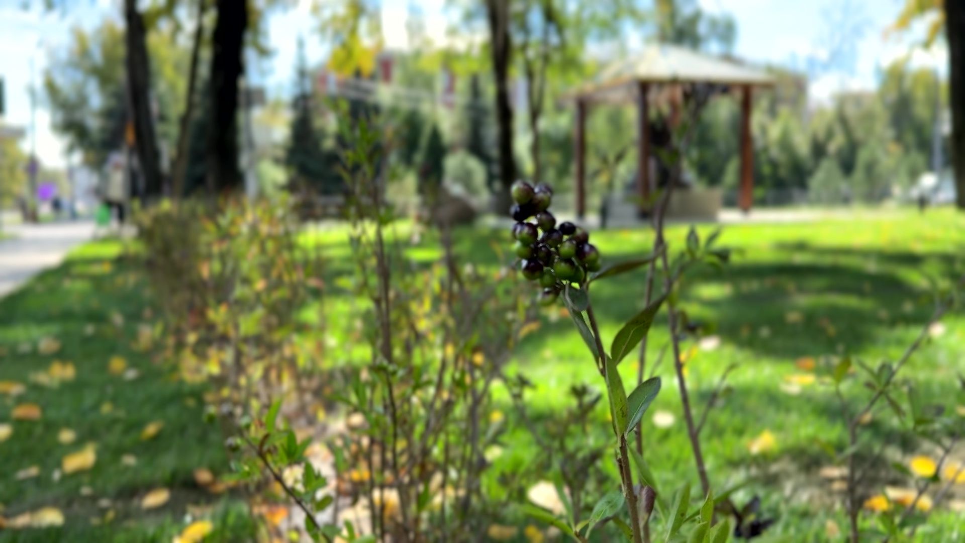 Реутов, колокол, памятник, реставрация,