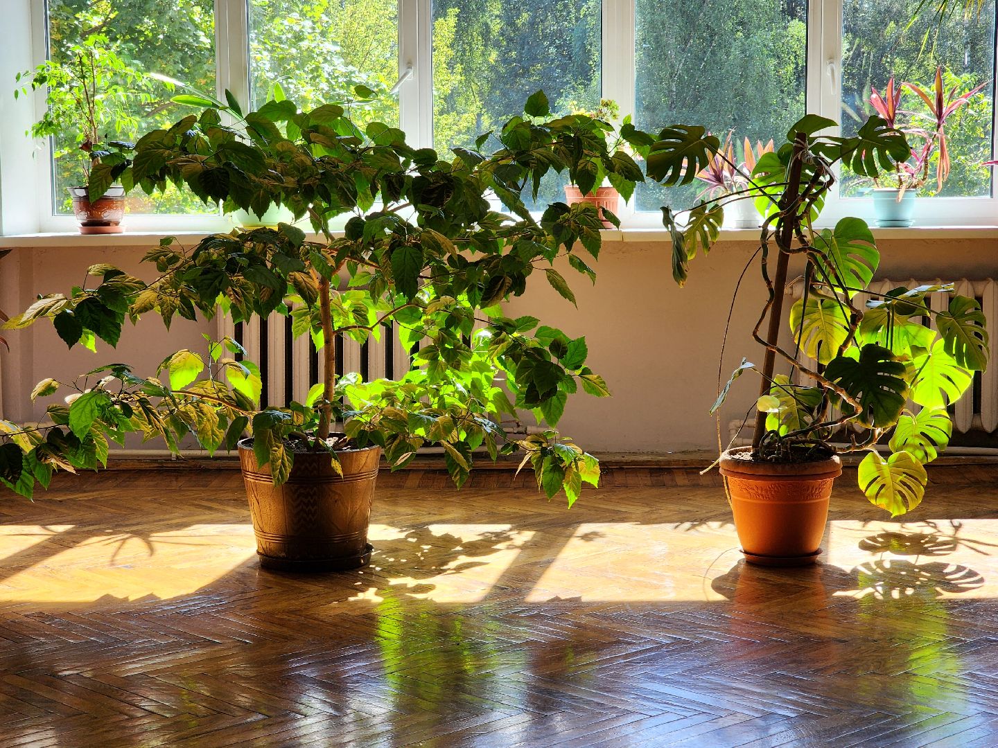 творческий сезон,   набор в кружки, центр культуры, старая купавна, богородский городской округ,