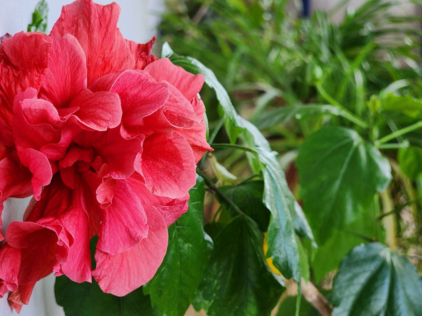 творческий сезон,   набор в кружки, центр культуры, старая купавна, богородский городской округ,