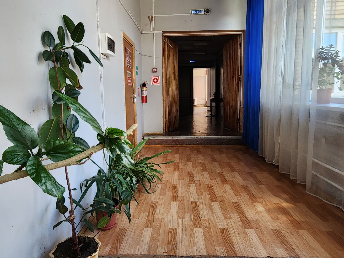 творческий сезон,   набор в кружки, центр культуры, старая купавна, богородский городской округ,